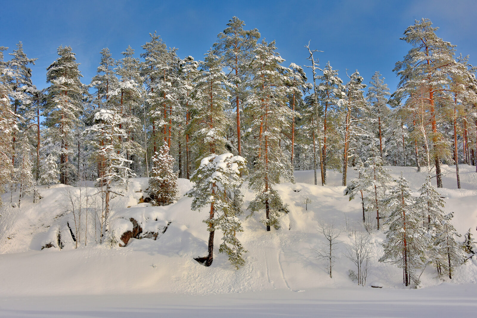 Valokuvaaja: Reijo Juurinen