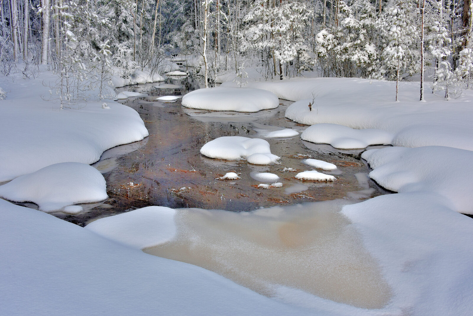 Valokuvaaja: Reijo Juurinen
