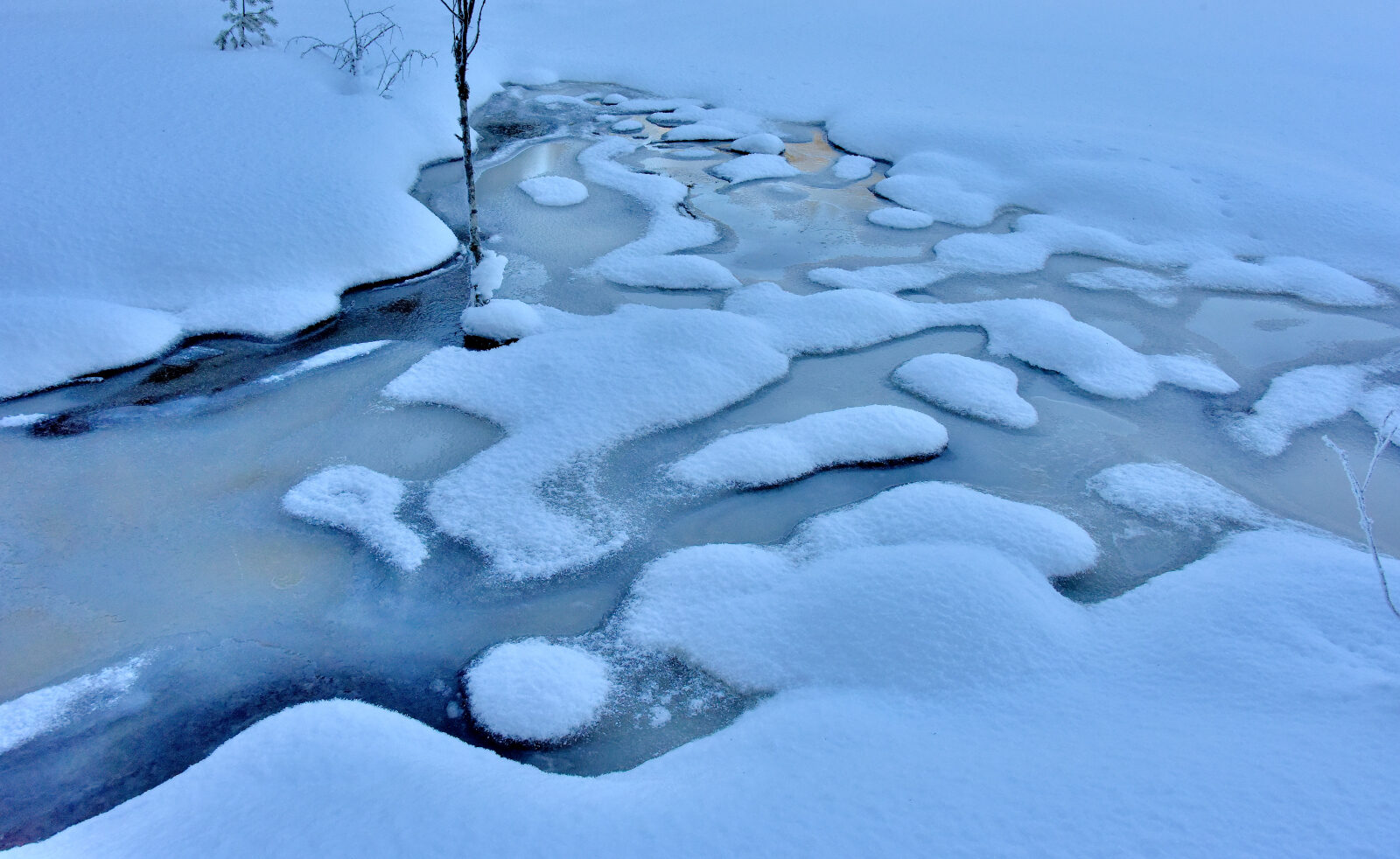Valokuvaaja: Reijo Juurinen Valokuvaaja: Reijo Juurinen