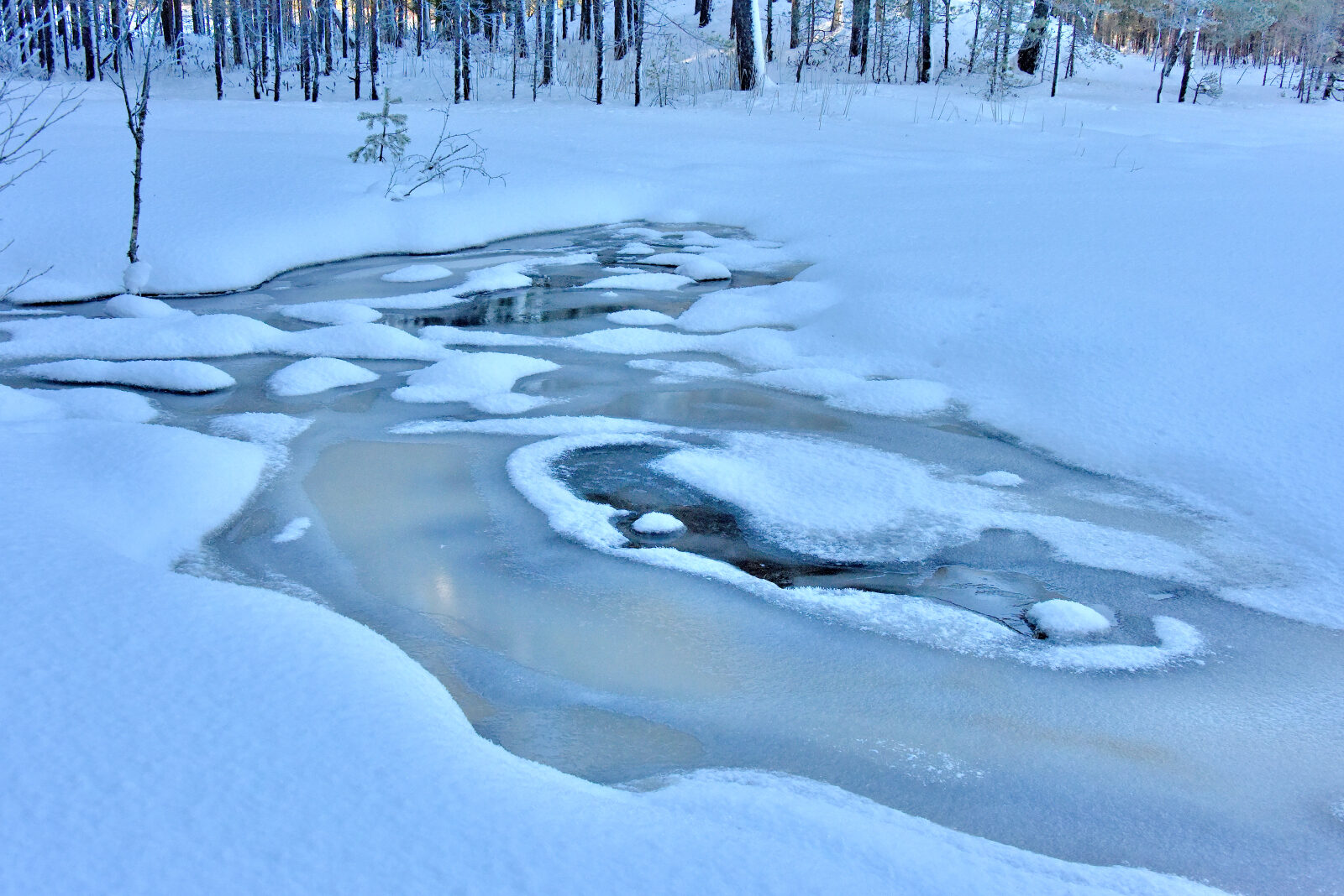 Valokuvaaja: Reijo Juurinen Valokuvaaja: Reijo Juurinen