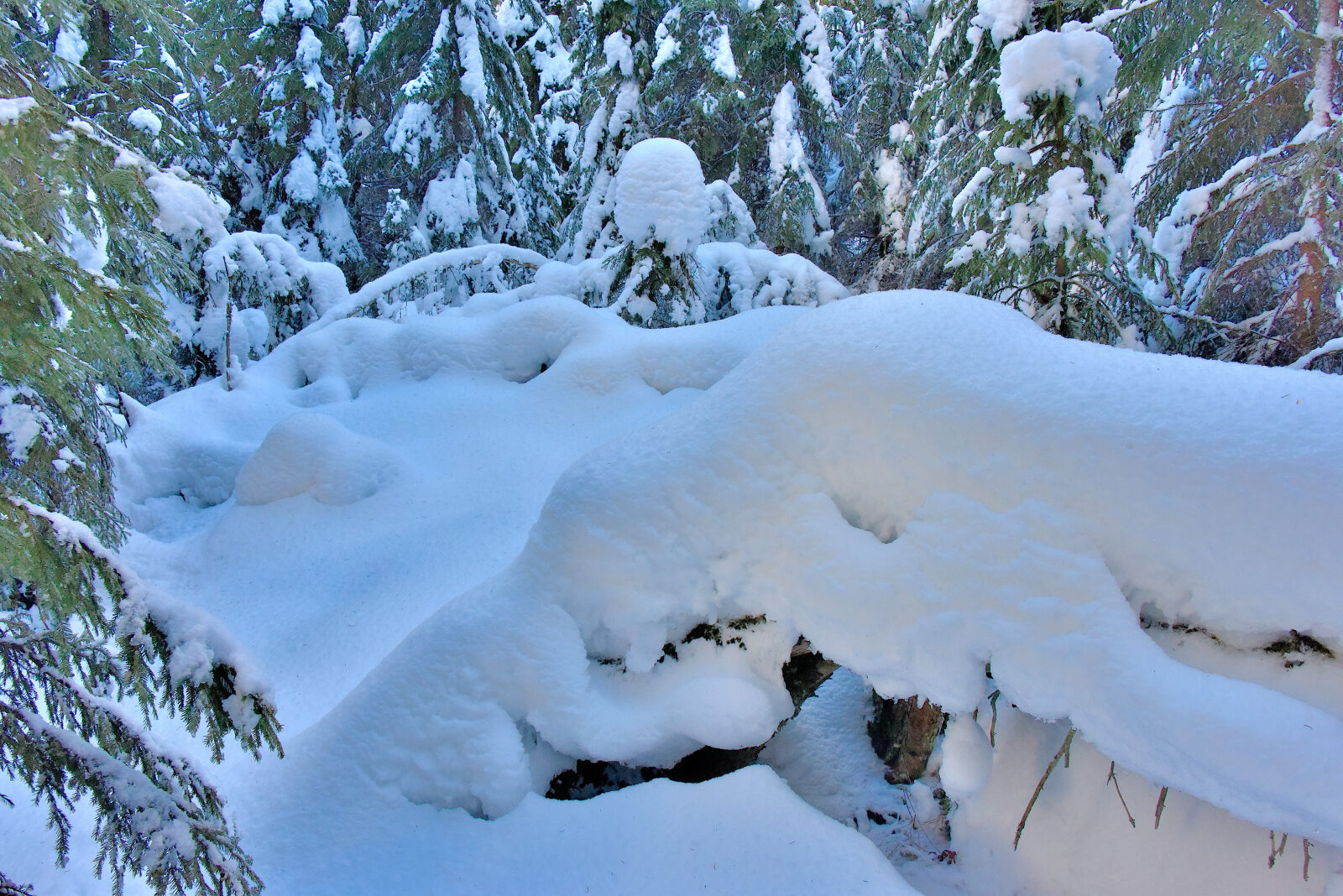 Valokuvaaja: Reijo Juurinen
