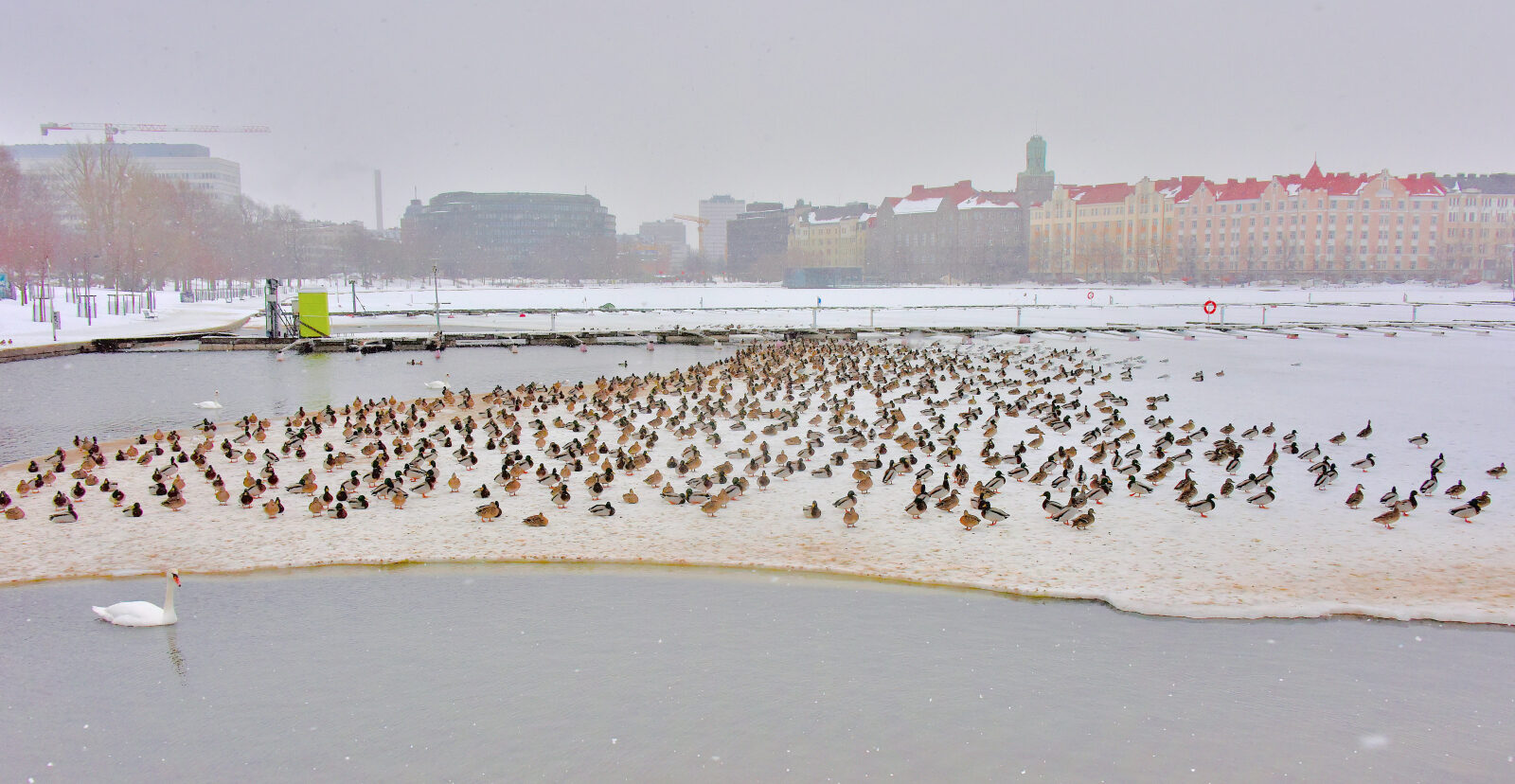 Valokuvaaja: Reijo Juurinen