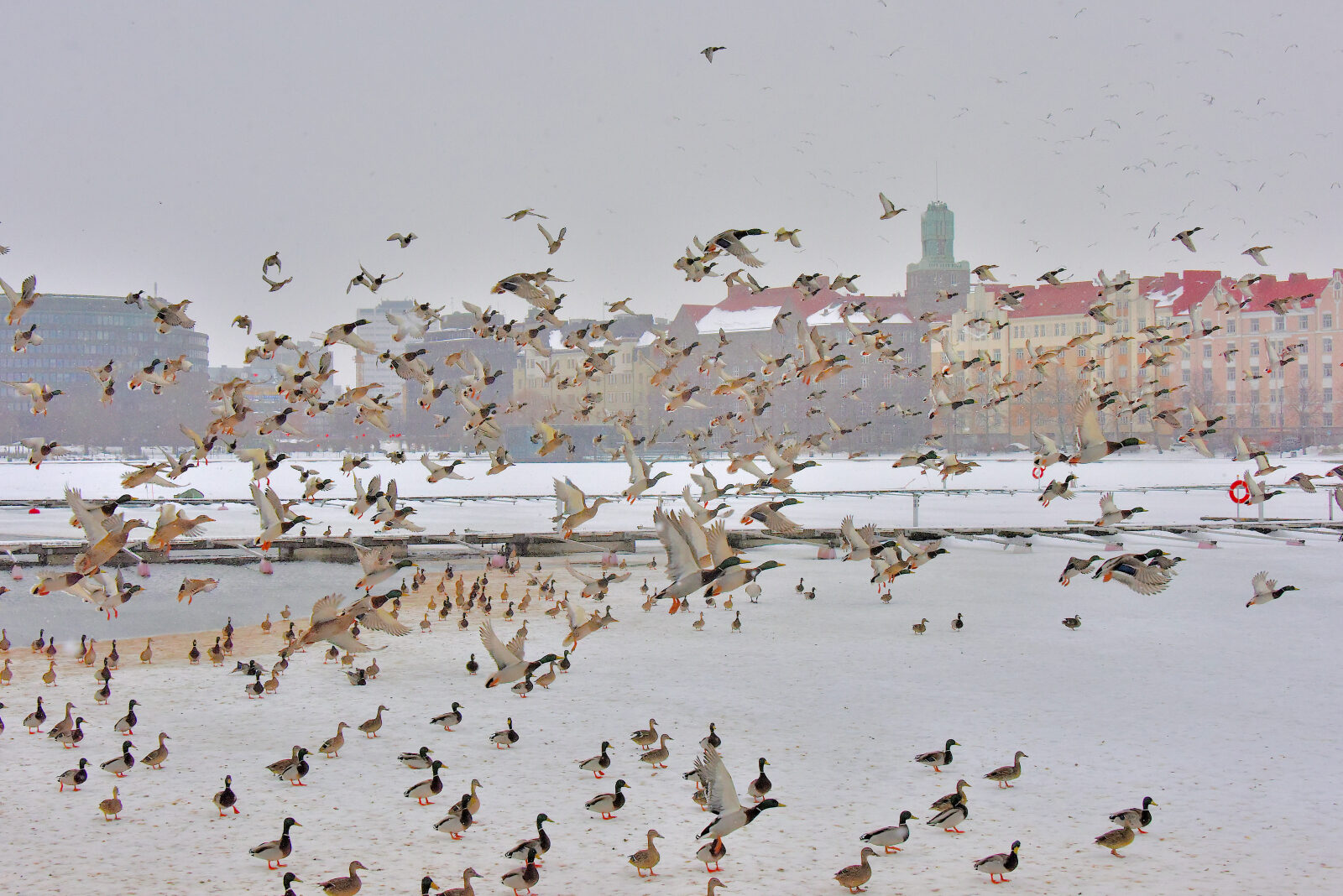 Valokuvaaja: Reijo Juurinen