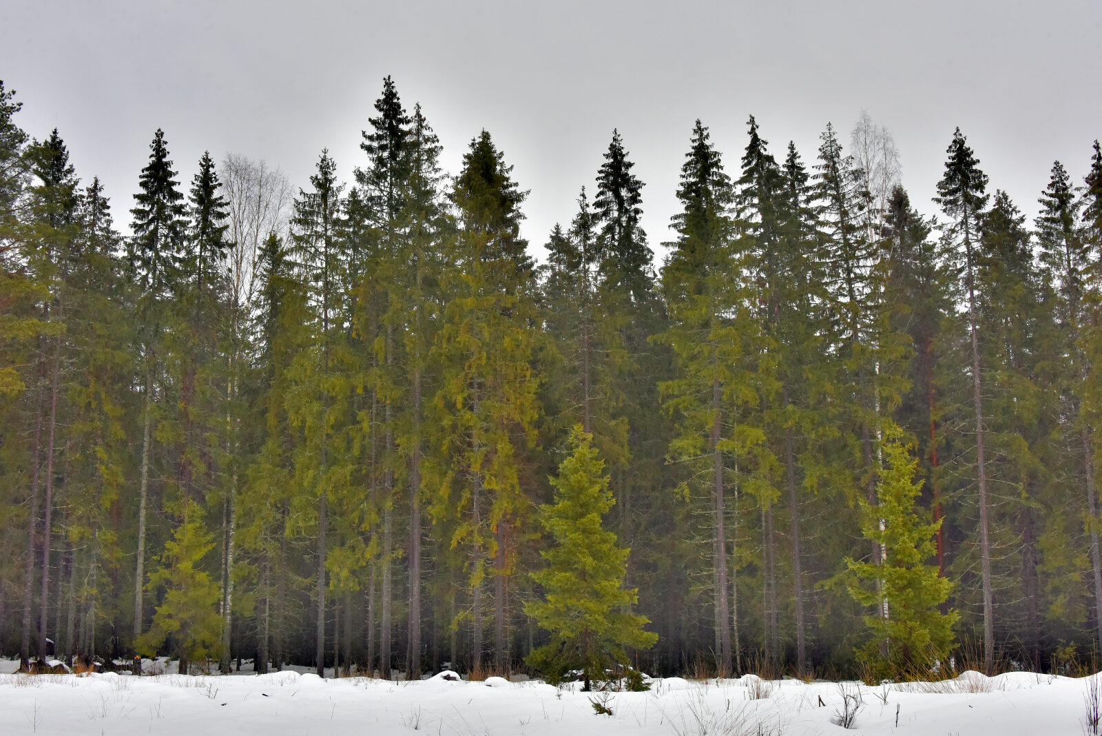 Valokuvaaja: Reijo Juurinen