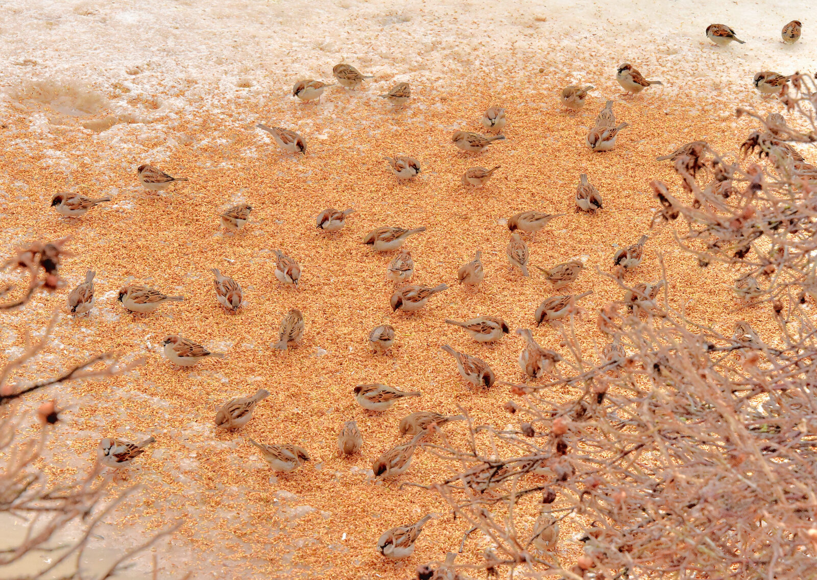 Valokuvaaja: Reijo Juurinen Valokuvaaja: Reijo Juurinen