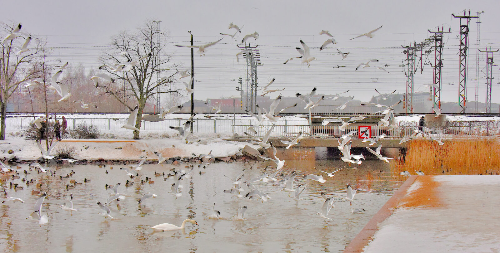 Valokuvaaja: Reijo Juurinen