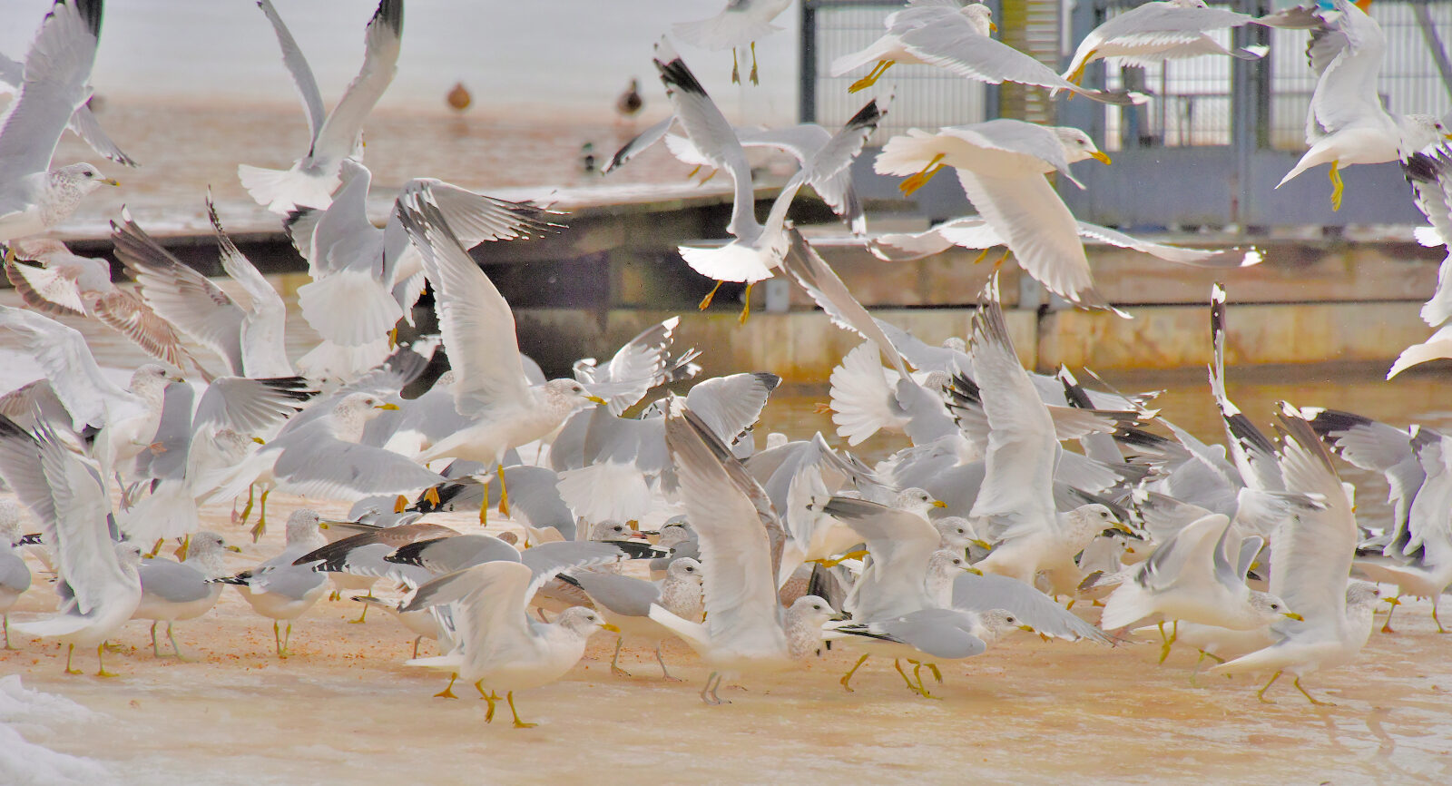 Valokuvaaja: Reijo Juurinen