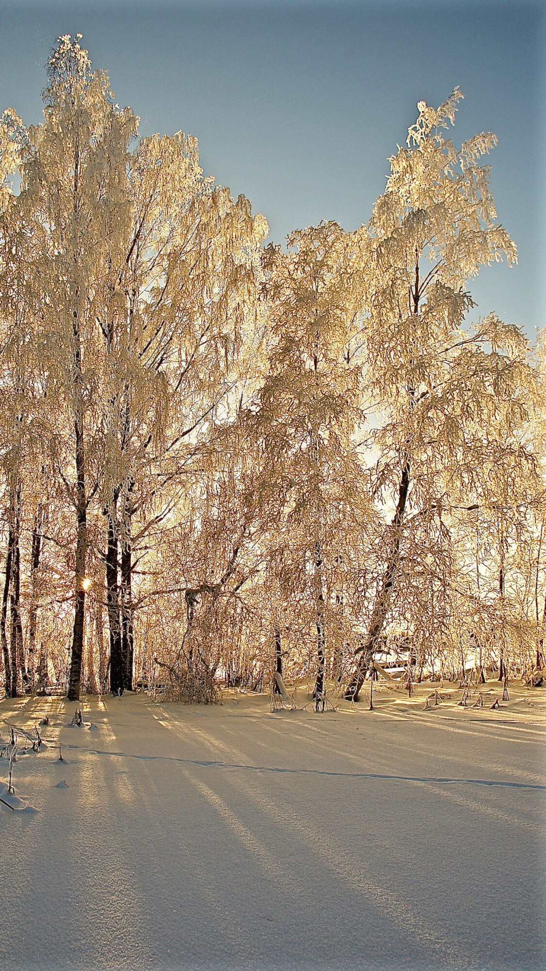 Valokuvaaja: Lasse Rokka