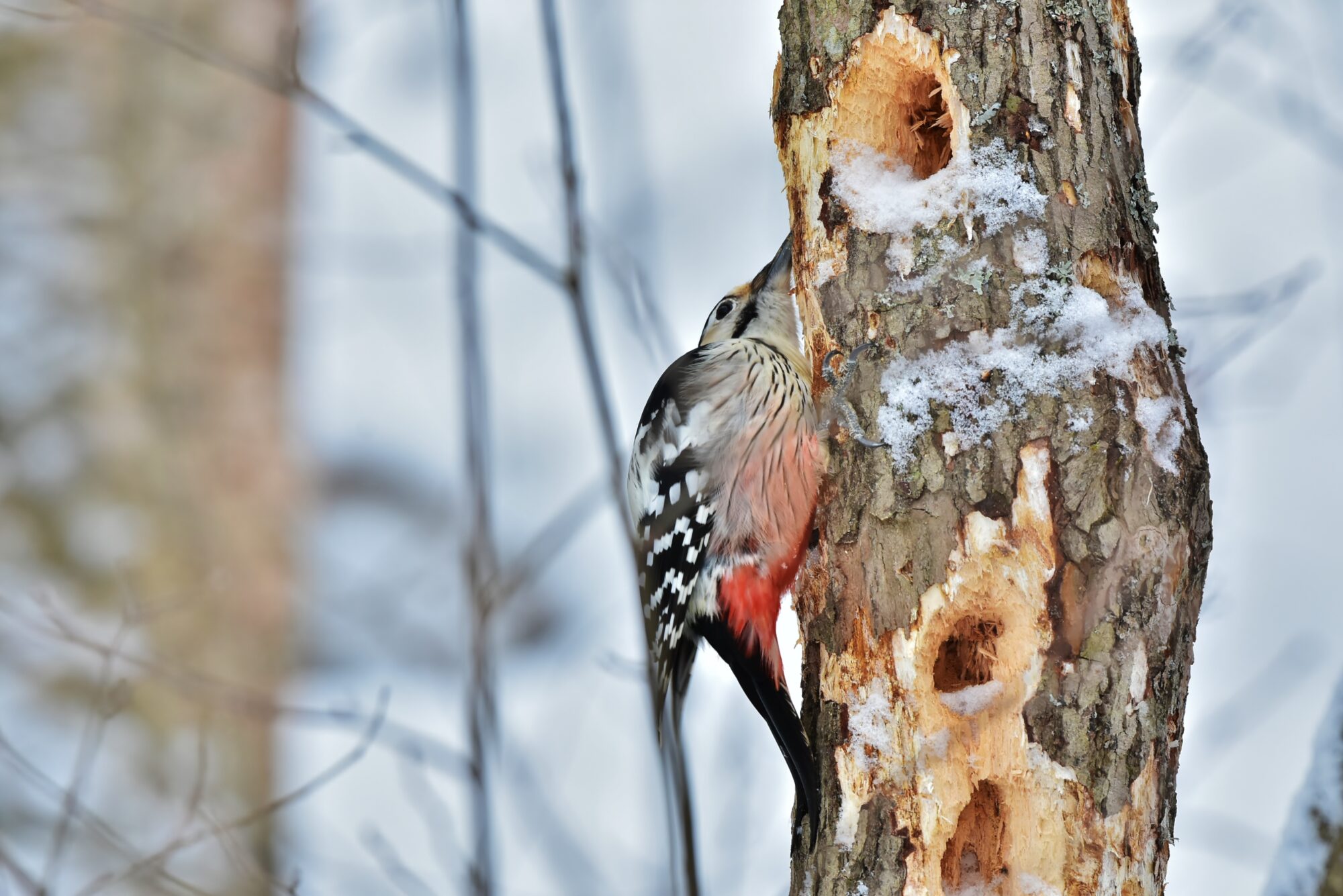Valokuvaaja: Markku Pelkonen