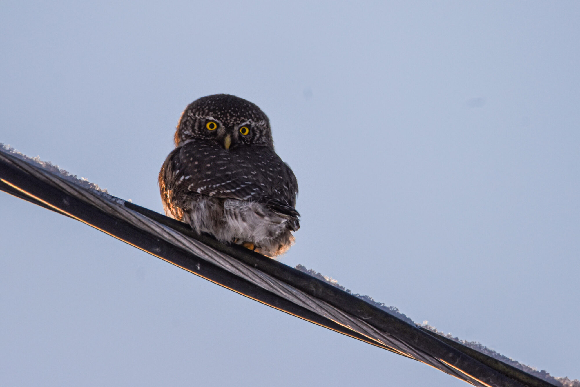 Valokuvaaja: Maija Savolainen