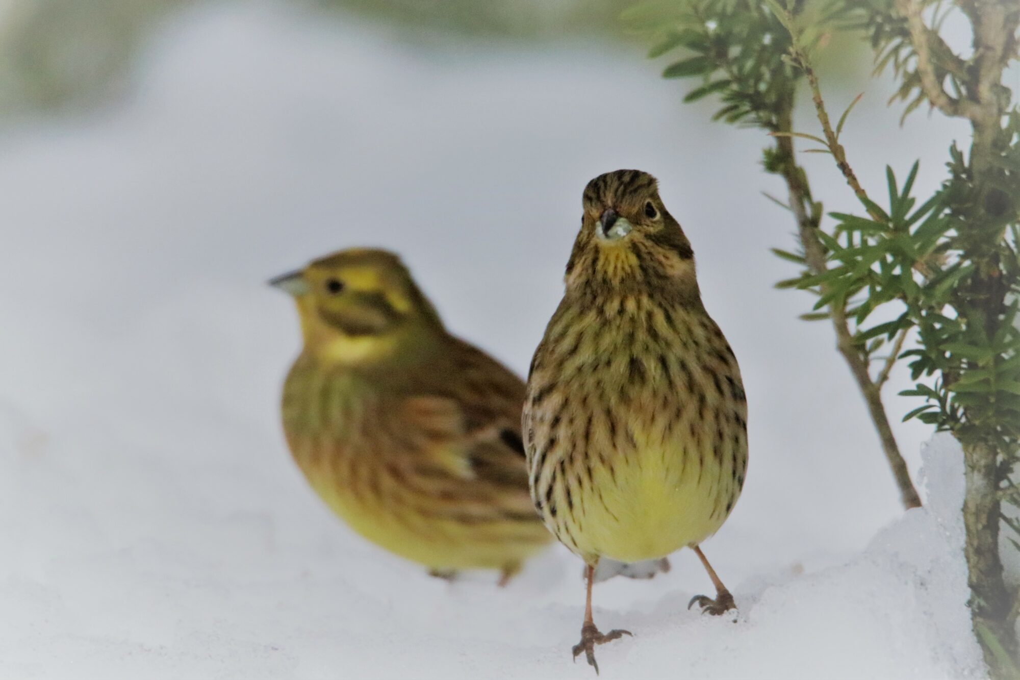 Valokuvaaja: Irja Lehtinen