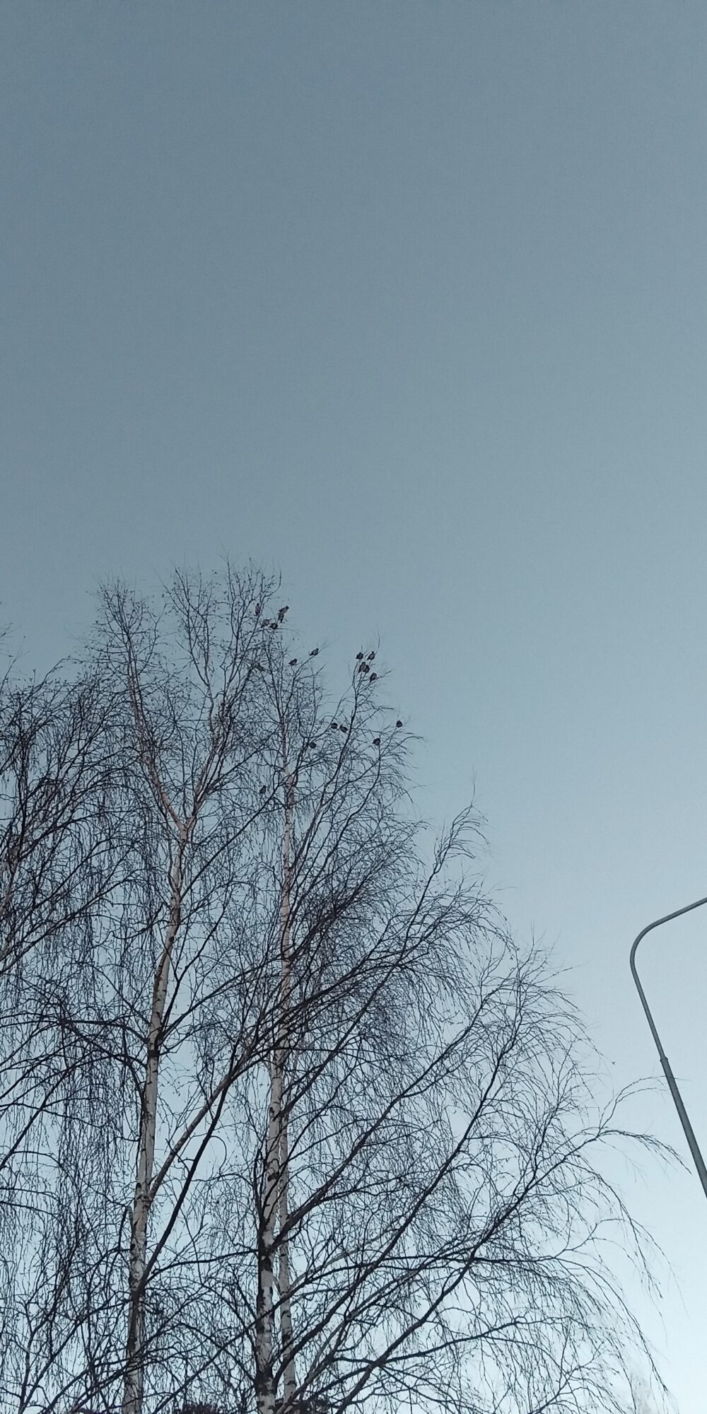 Valokuvaaja: Alvar Ilmonen