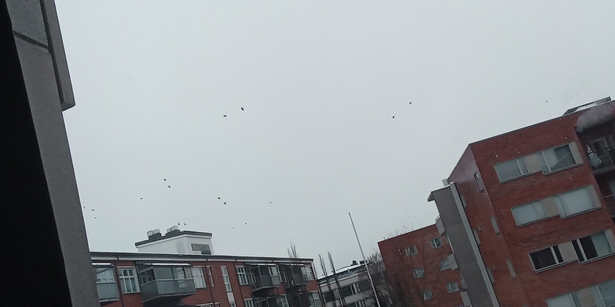 Valokuvaaja: Alvar Ilmonen