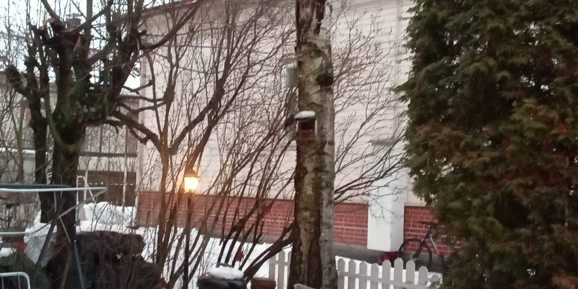 Valokuvaaja: Alvar Ilmonen Valokuvaaja: Alvar Ilmonen