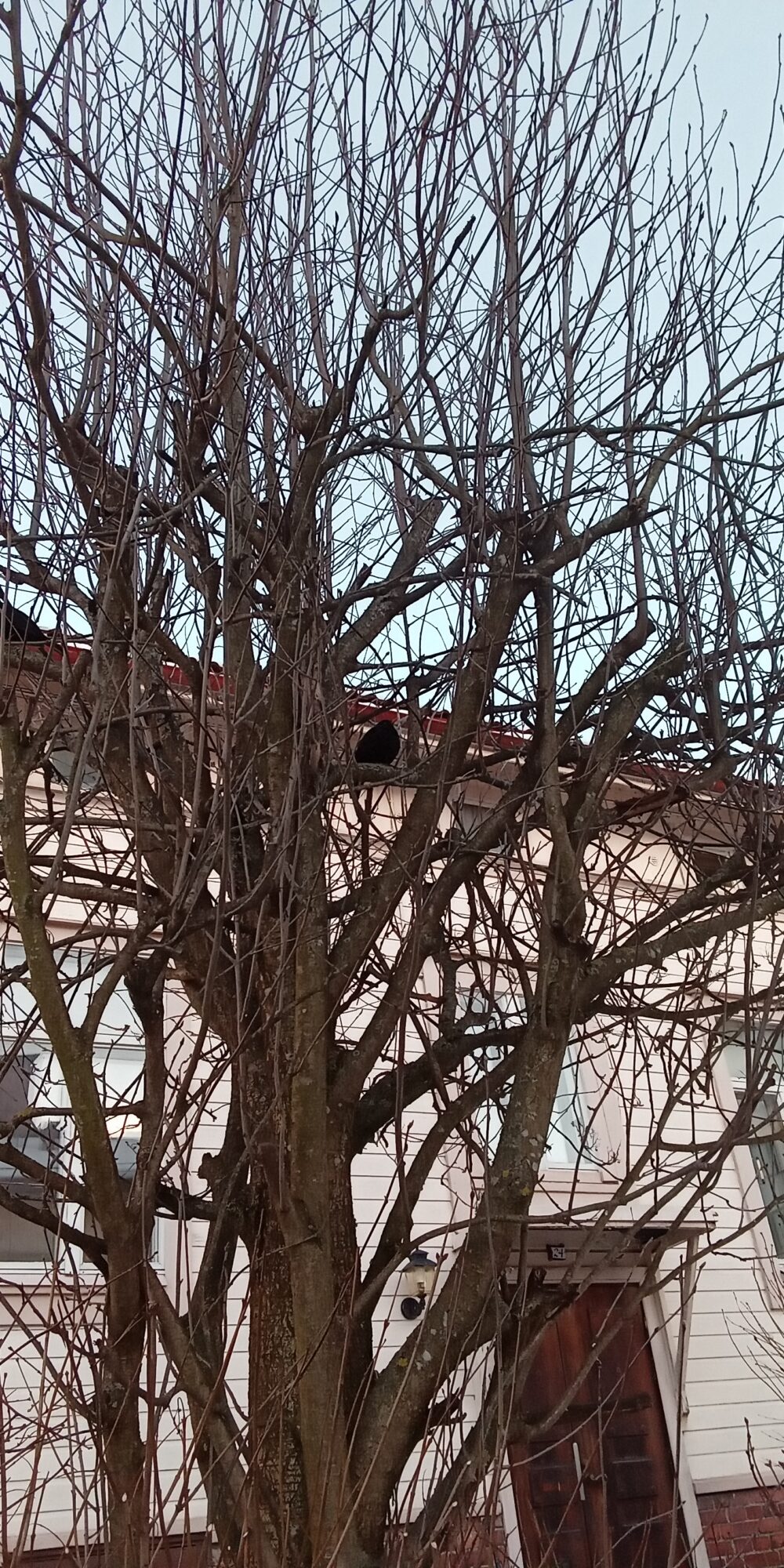 Valokuvaaja: Alvar Ilmonen