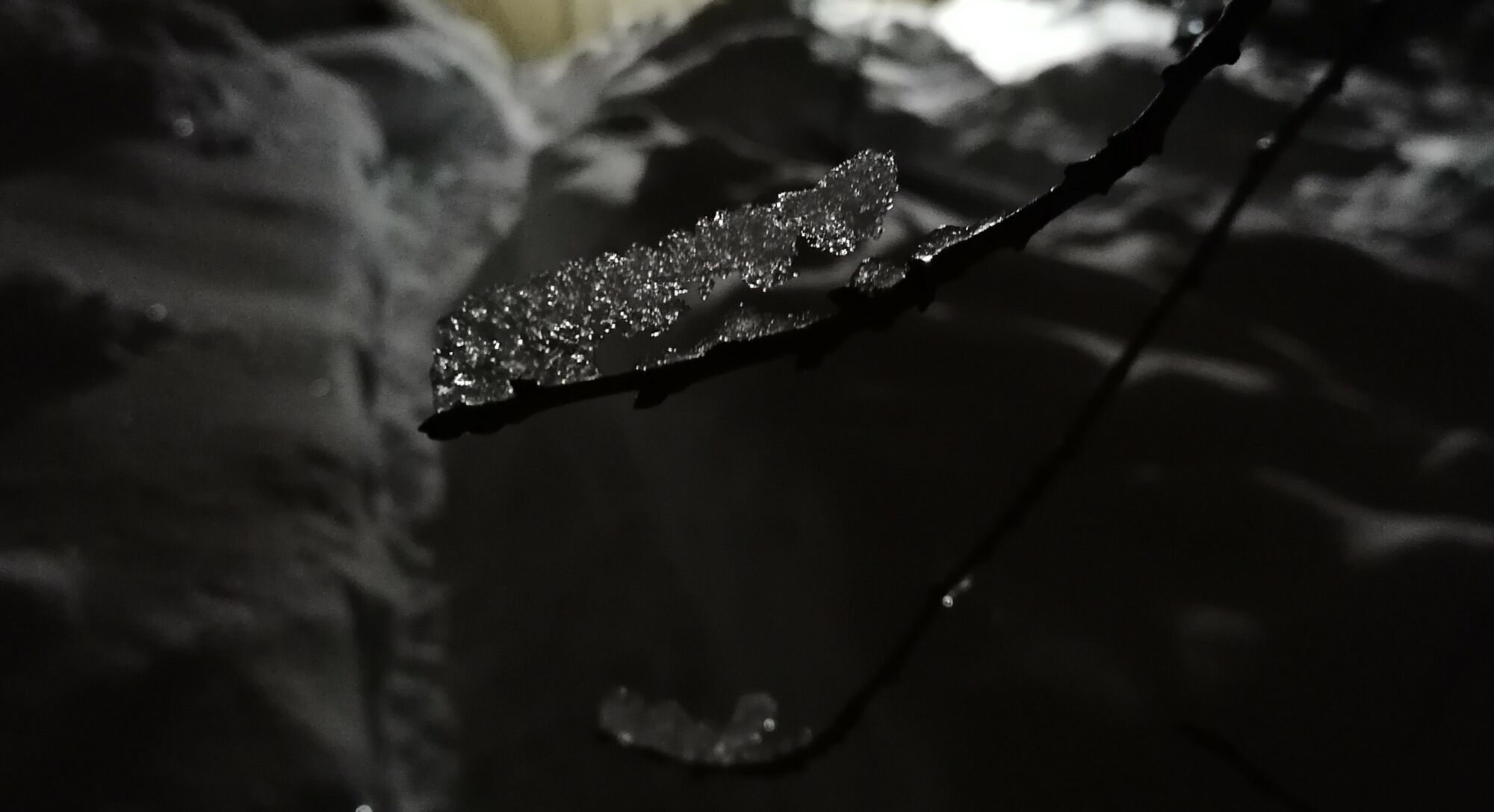 Valokuvaaja: Kaija Halonen