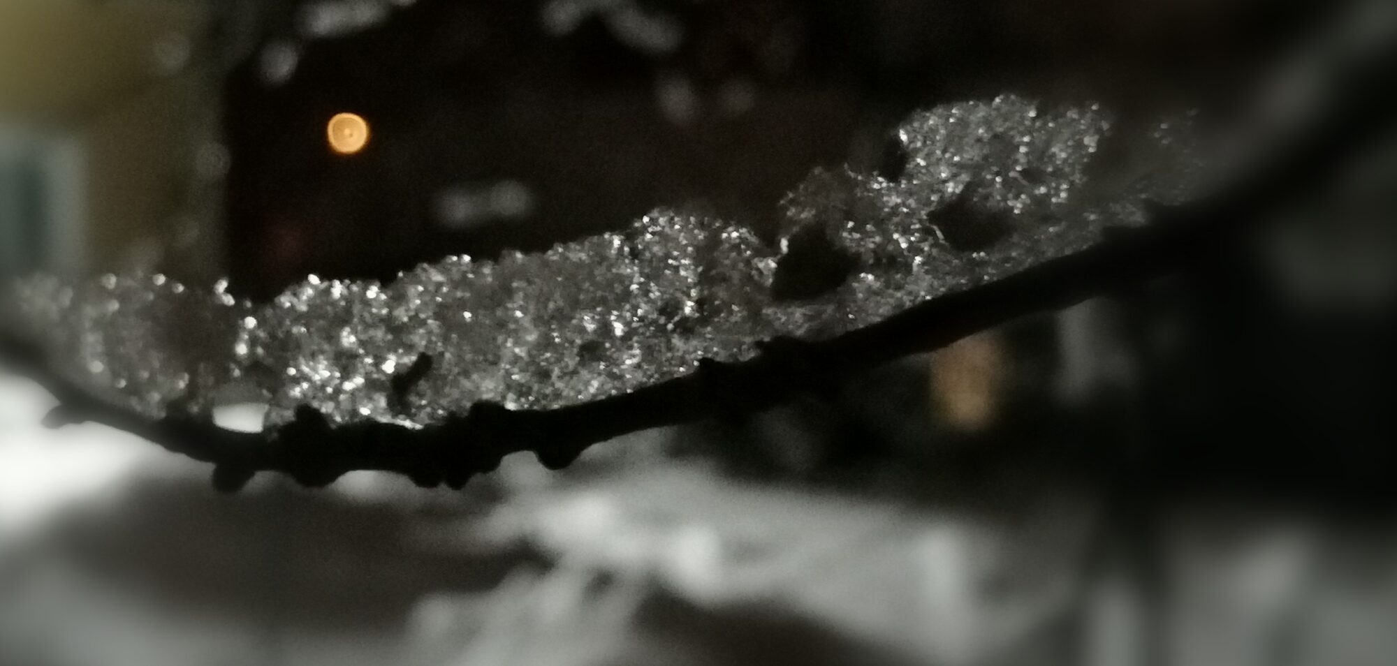 Valokuvaaja: Kaija Halonen