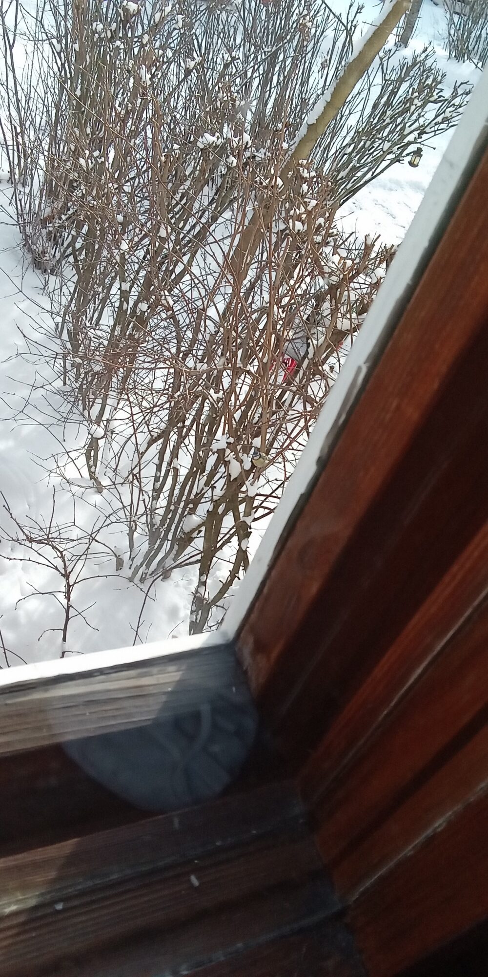 Valokuvaaja: Alvar Ilmonen