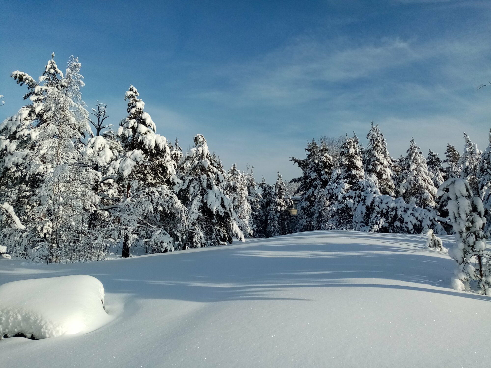 Valokuvaaja: Lisa Aarnio