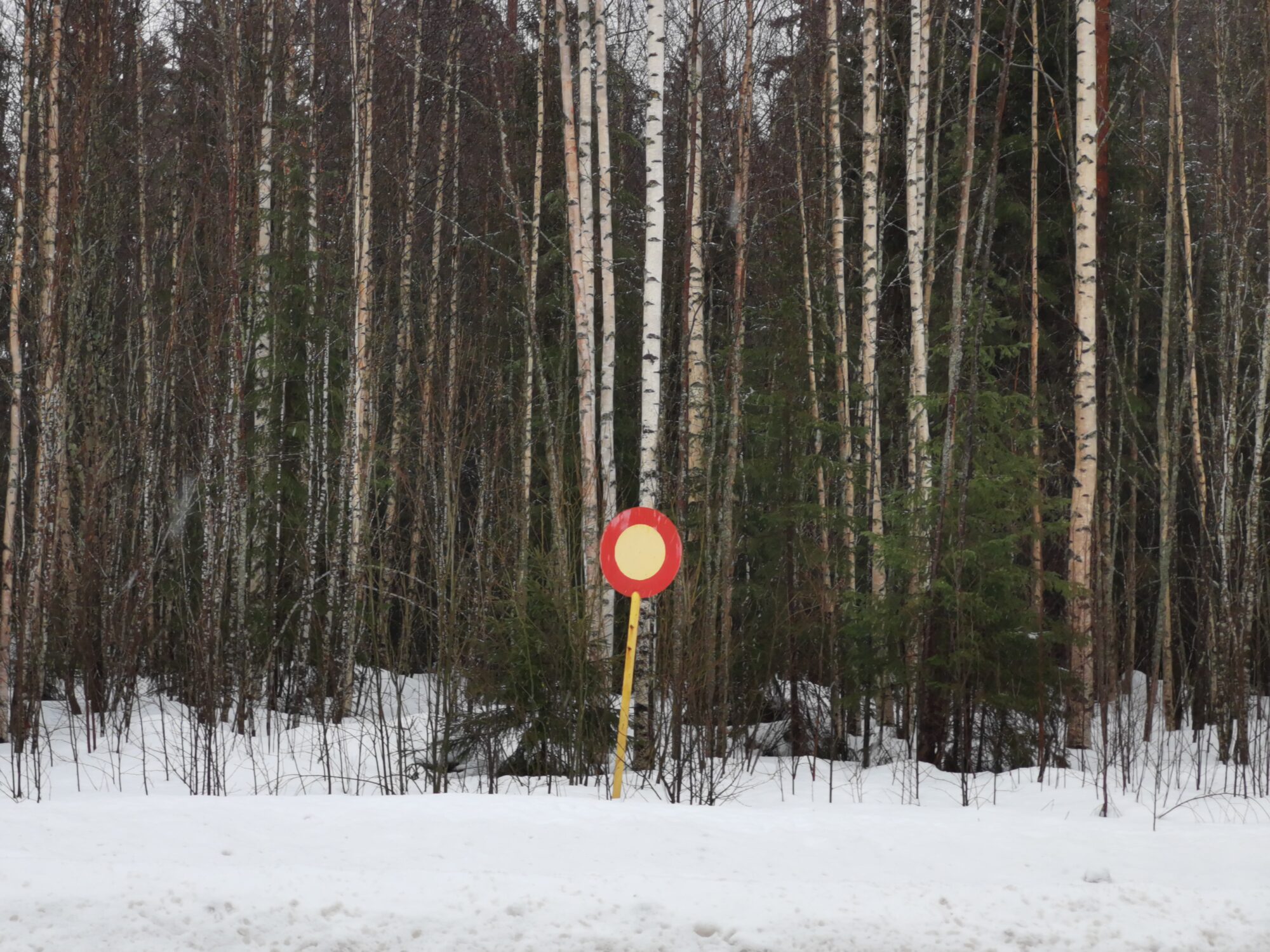 Valokuvaaja: Tapio Keinonen