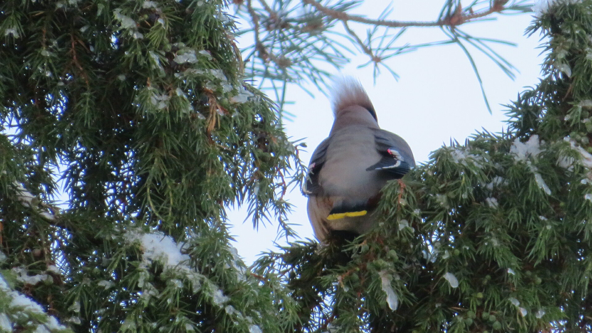 Valokuvaaja: Risto Kangassalo