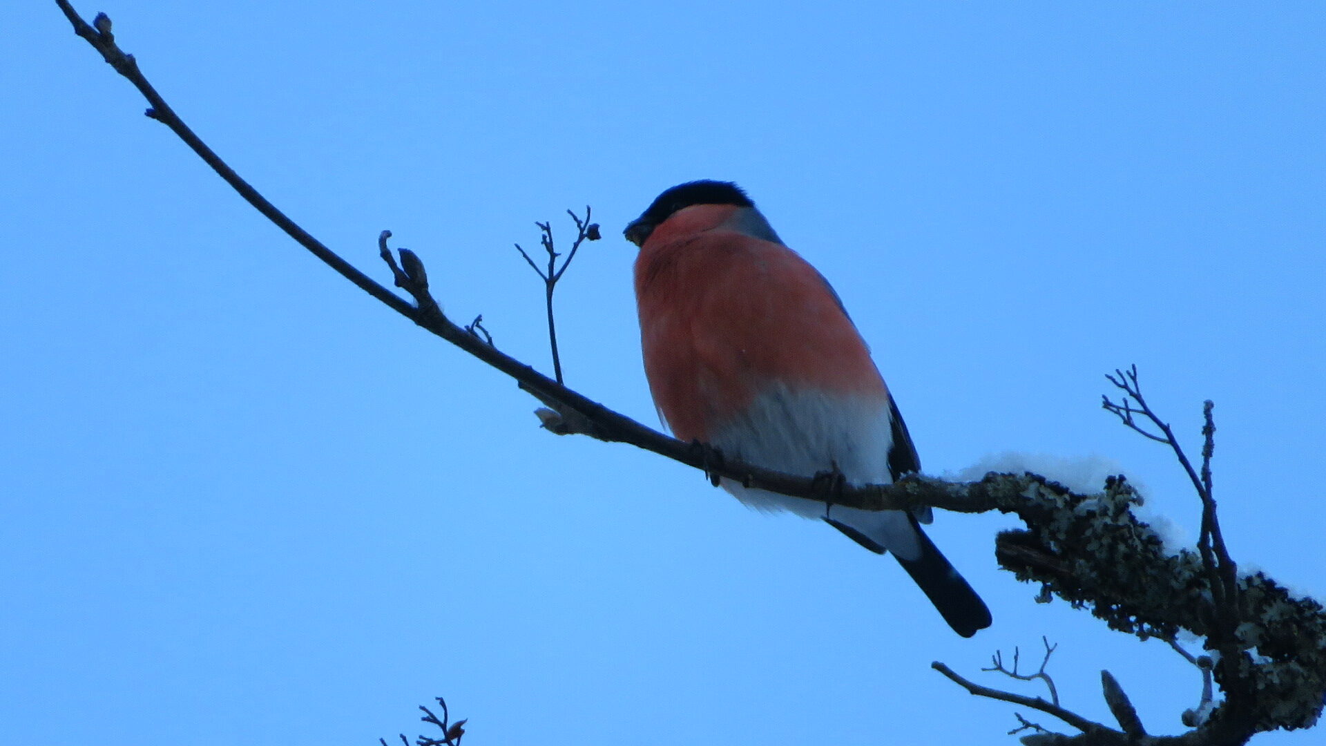 Valokuvaaja: Risto Kangassalo Valokuvaaja: Risto Kangassalo