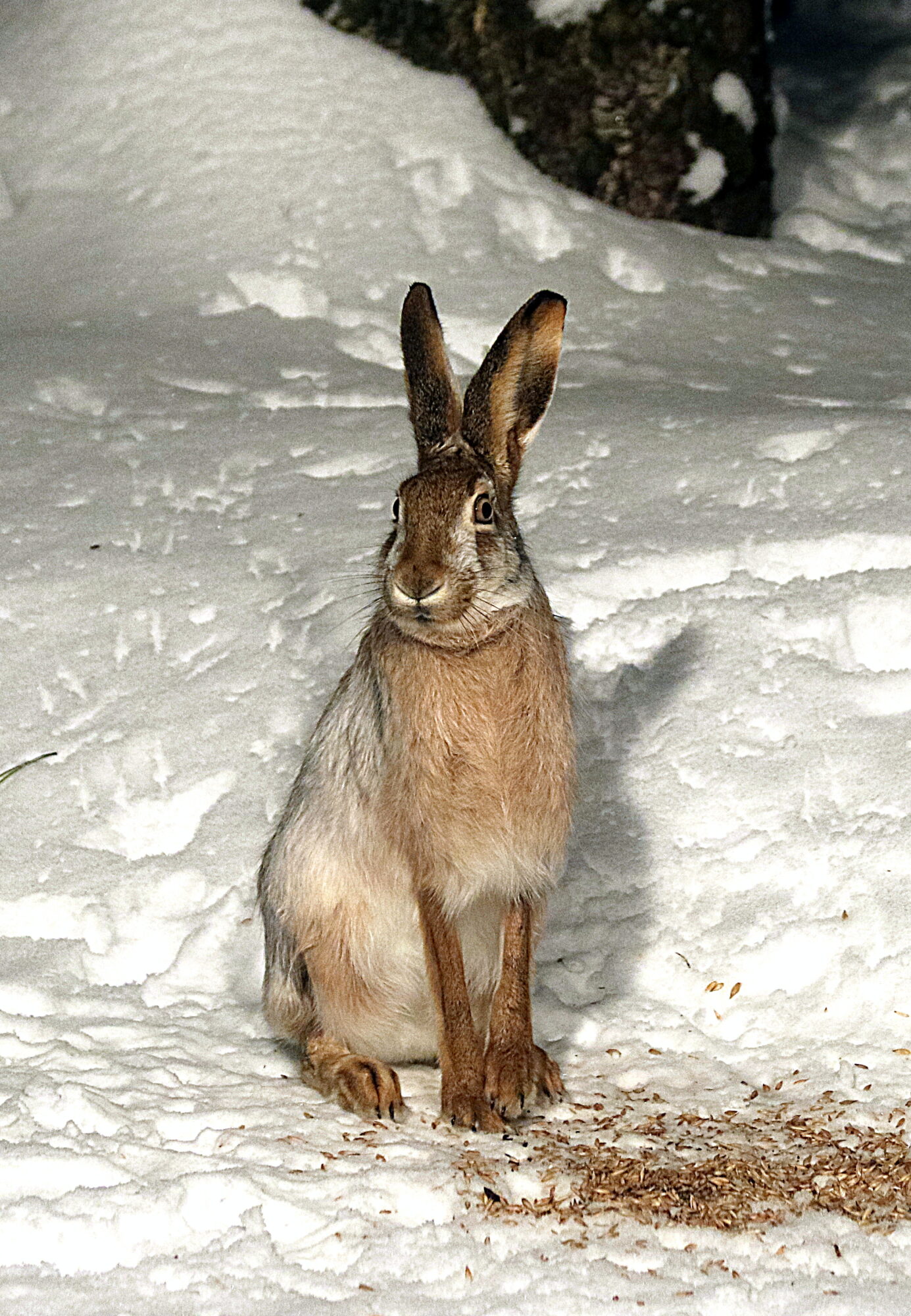 Valokuvaaja: Hannu Rasiranta