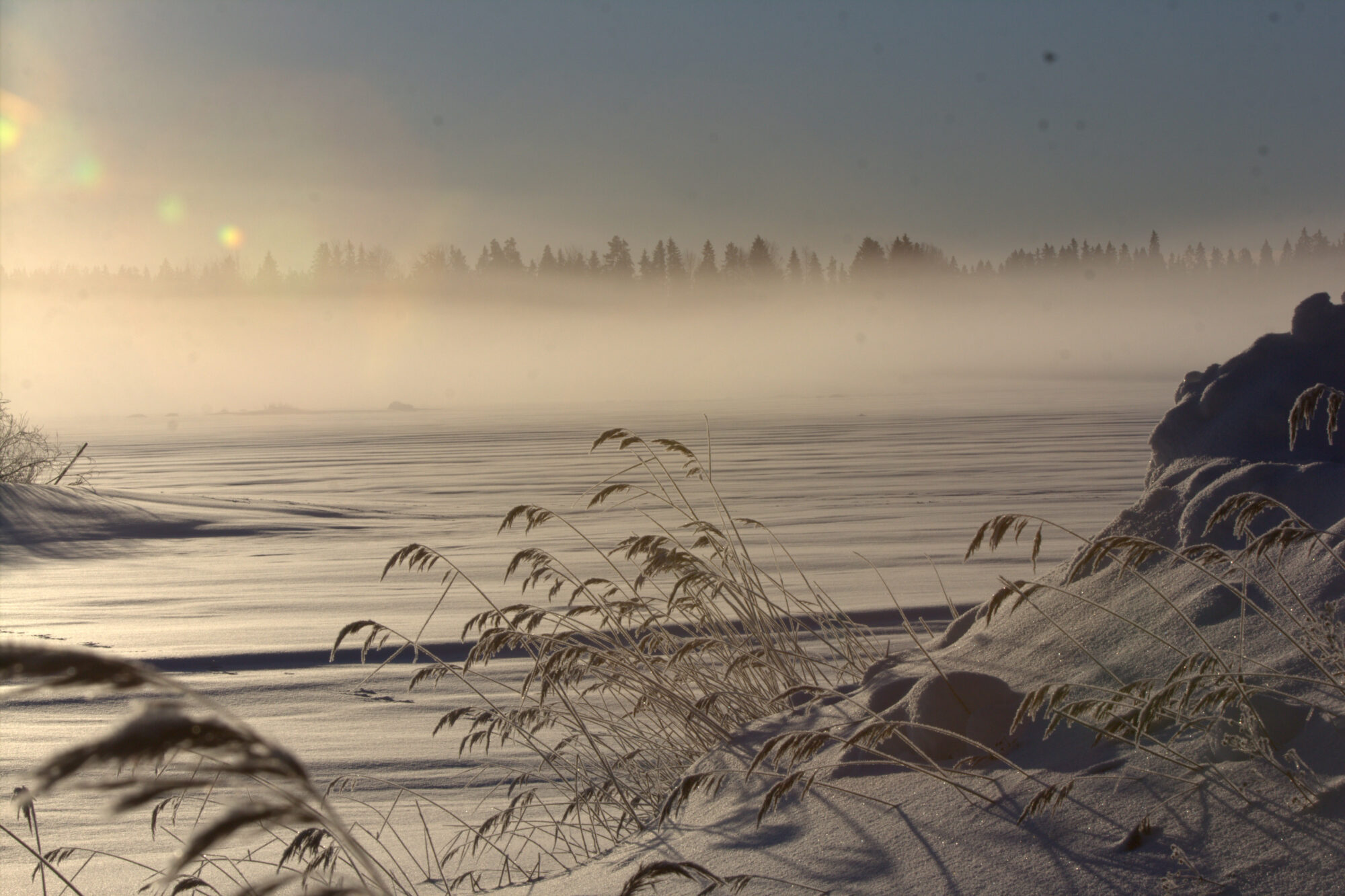 Valokuvaaja: Tapio Keinonen