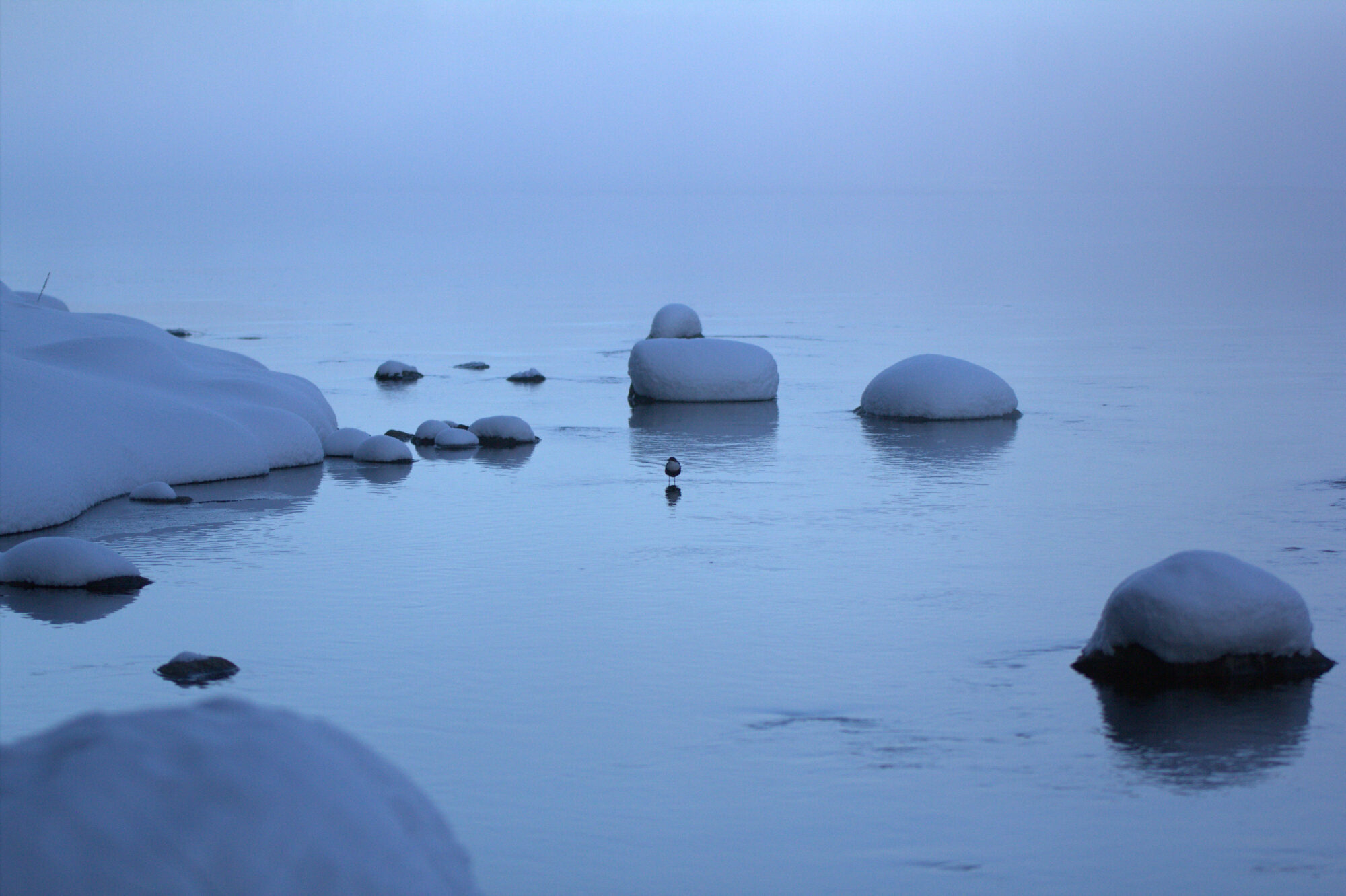 Valokuvaaja: Tapio Keinonen