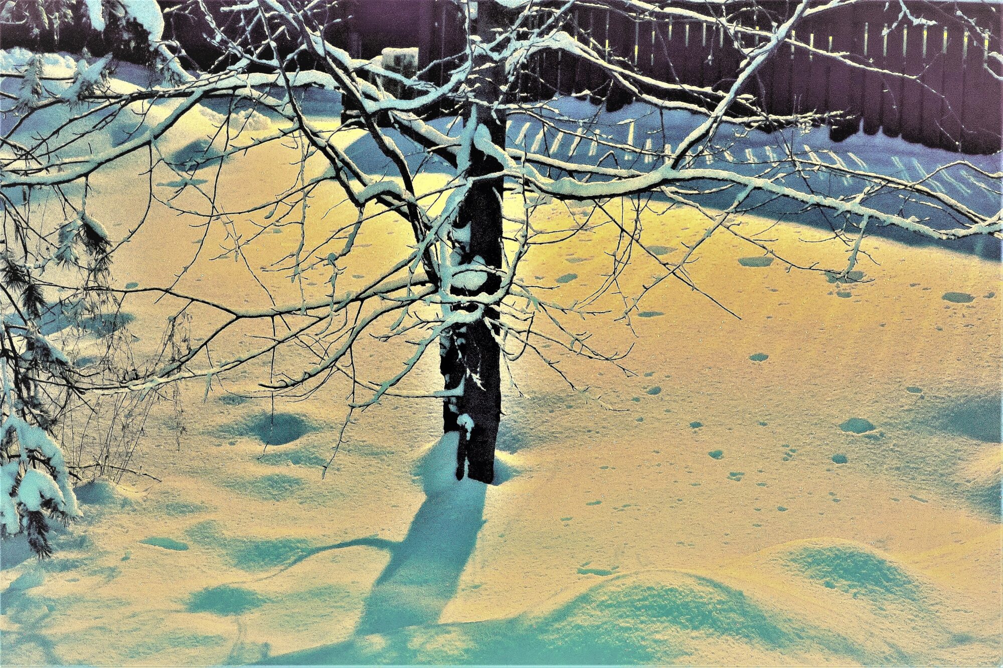 Valokuvaaja: Arto Alasuutari