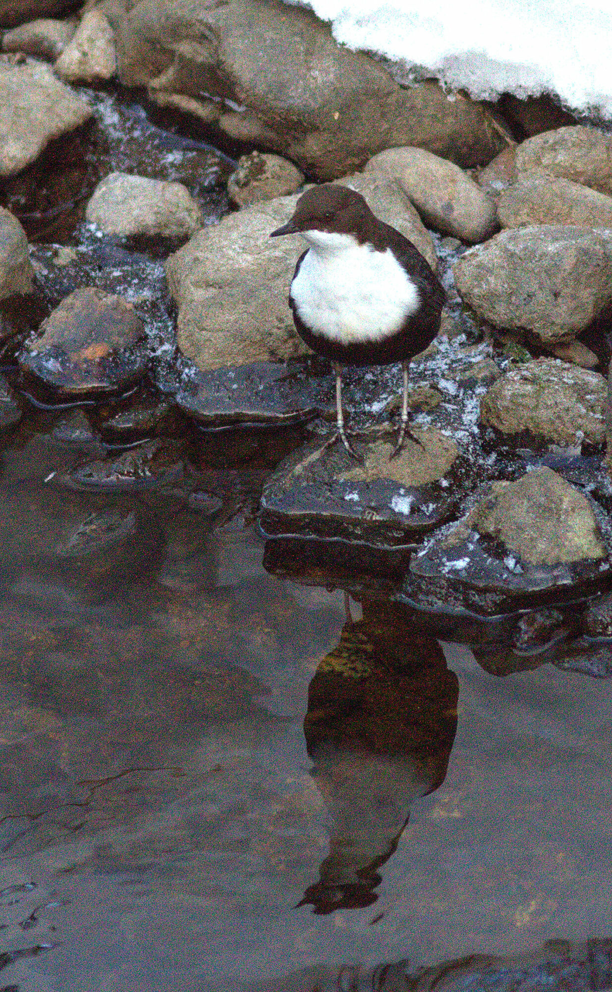 Valokuvaaja: Tapio Keinonen Valokuvaaja: Tapio Keinonen