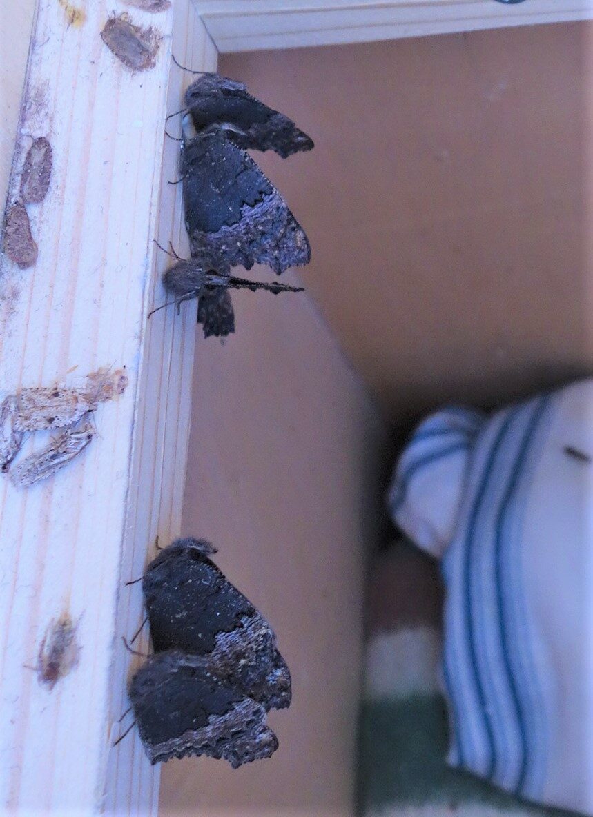 Valokuvaaja: Kaarina Heiskanen