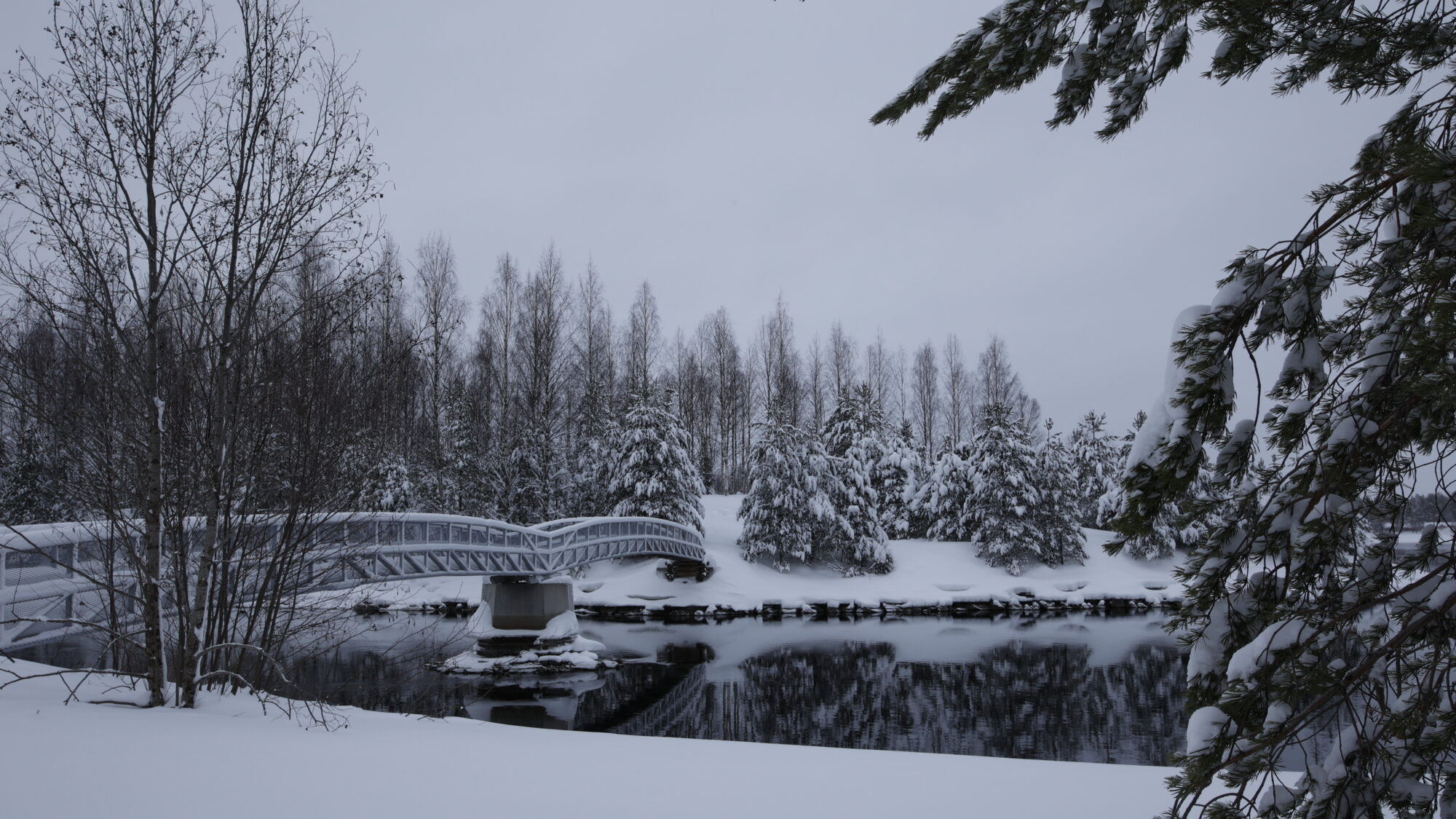 Valokuvaaja: Tommi Kujala