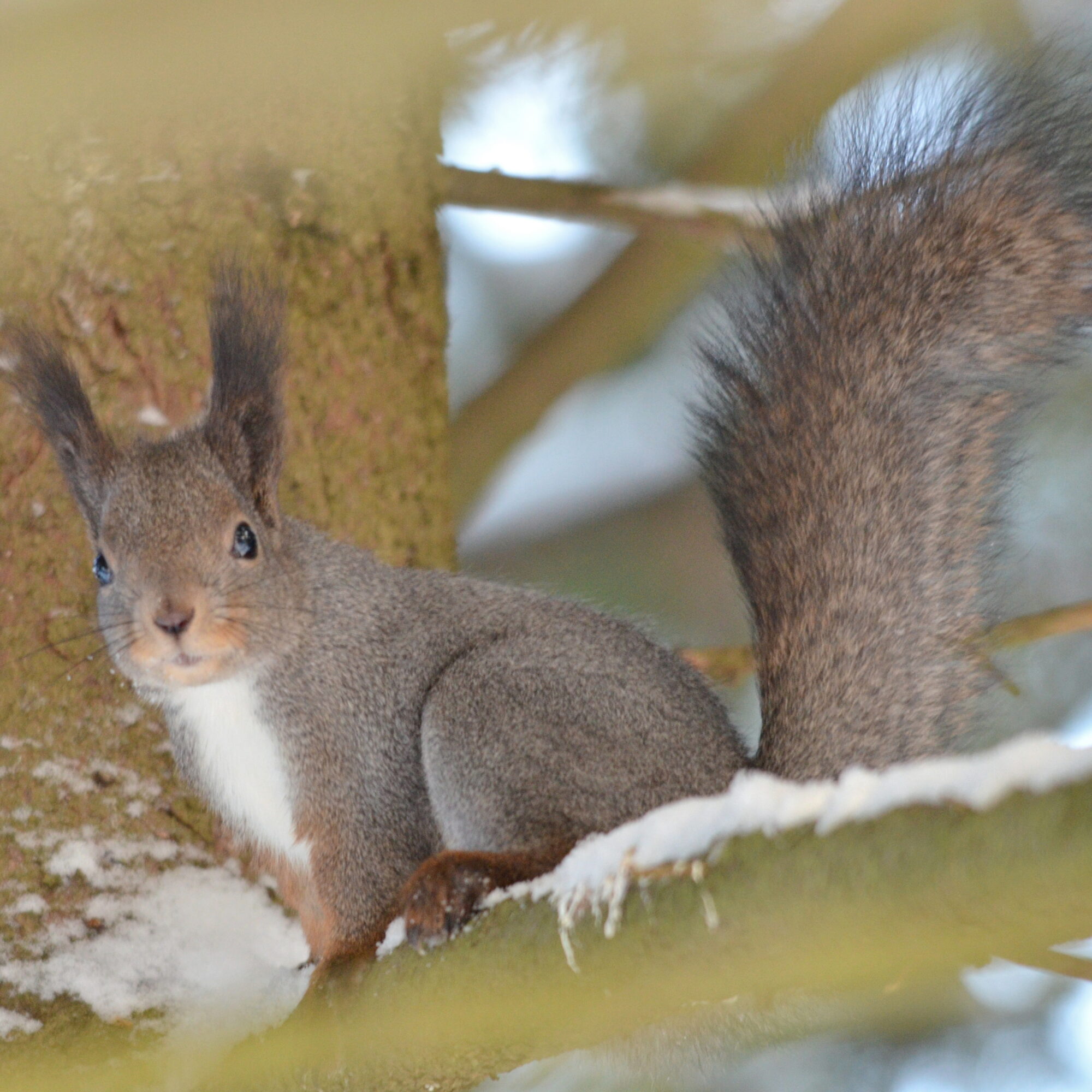 Valokuvaaja: Kaarlo Asikainen
