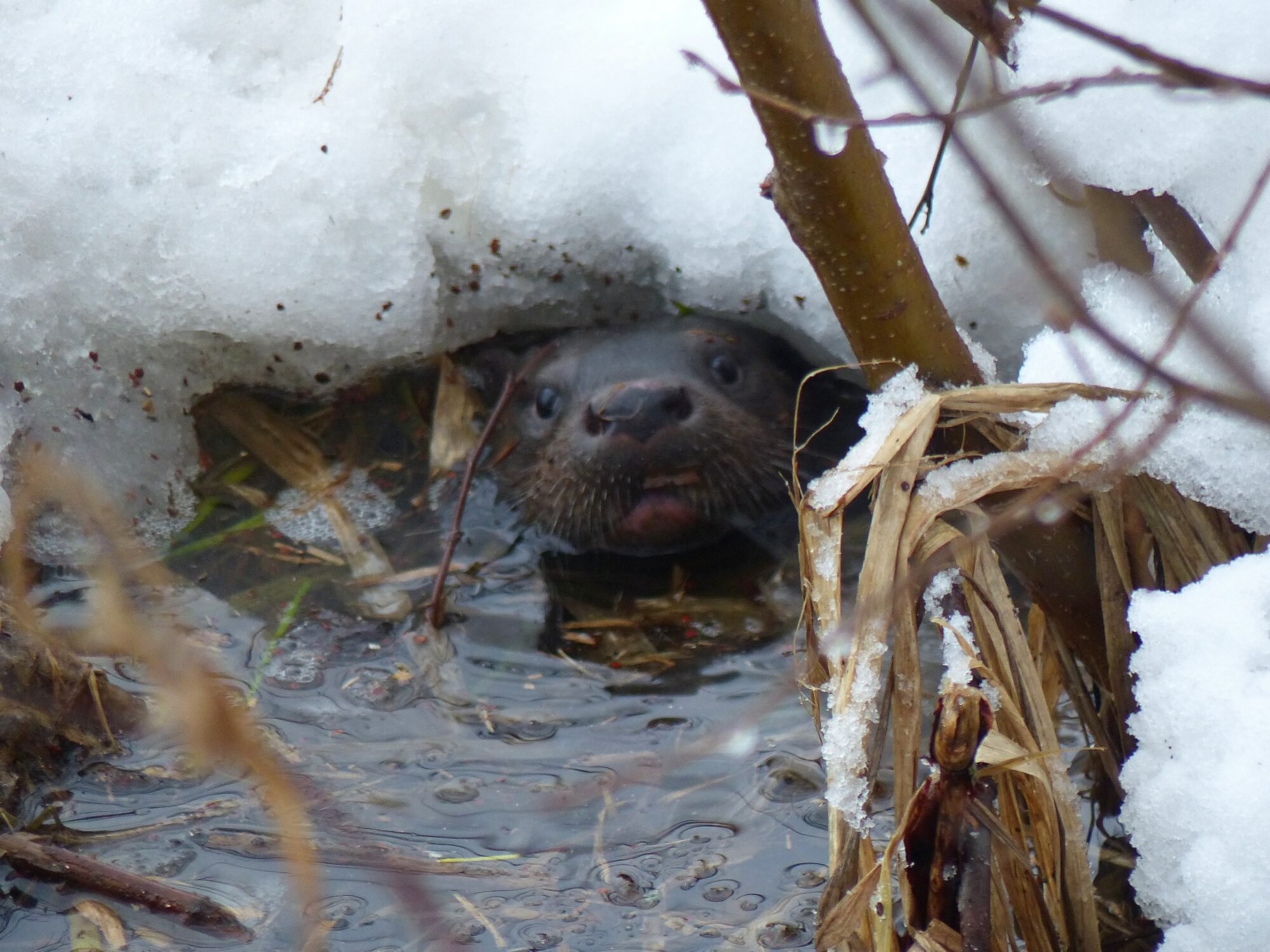 Valokuvaaja: Hannu Haapasaari