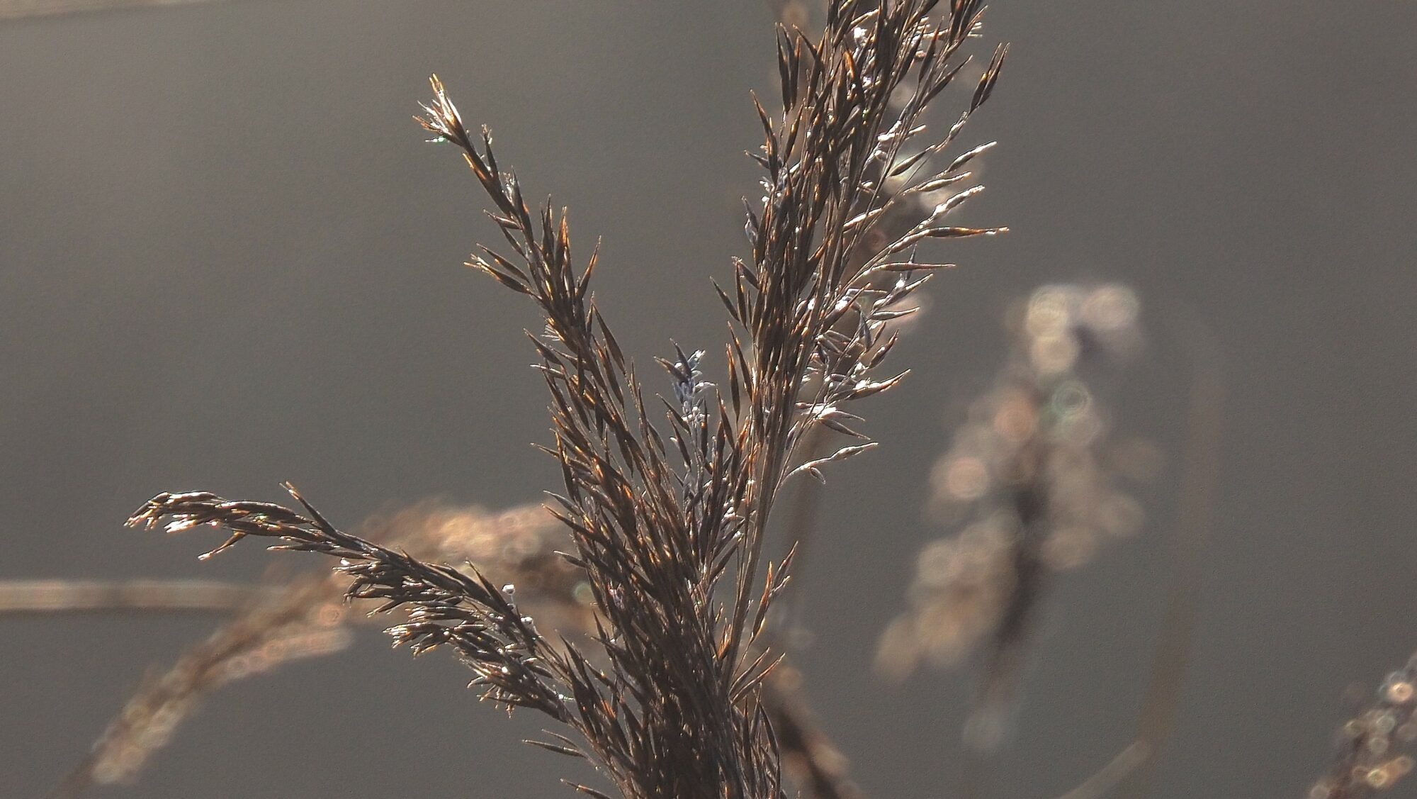 Valokuvaaja: Arja Valtonen