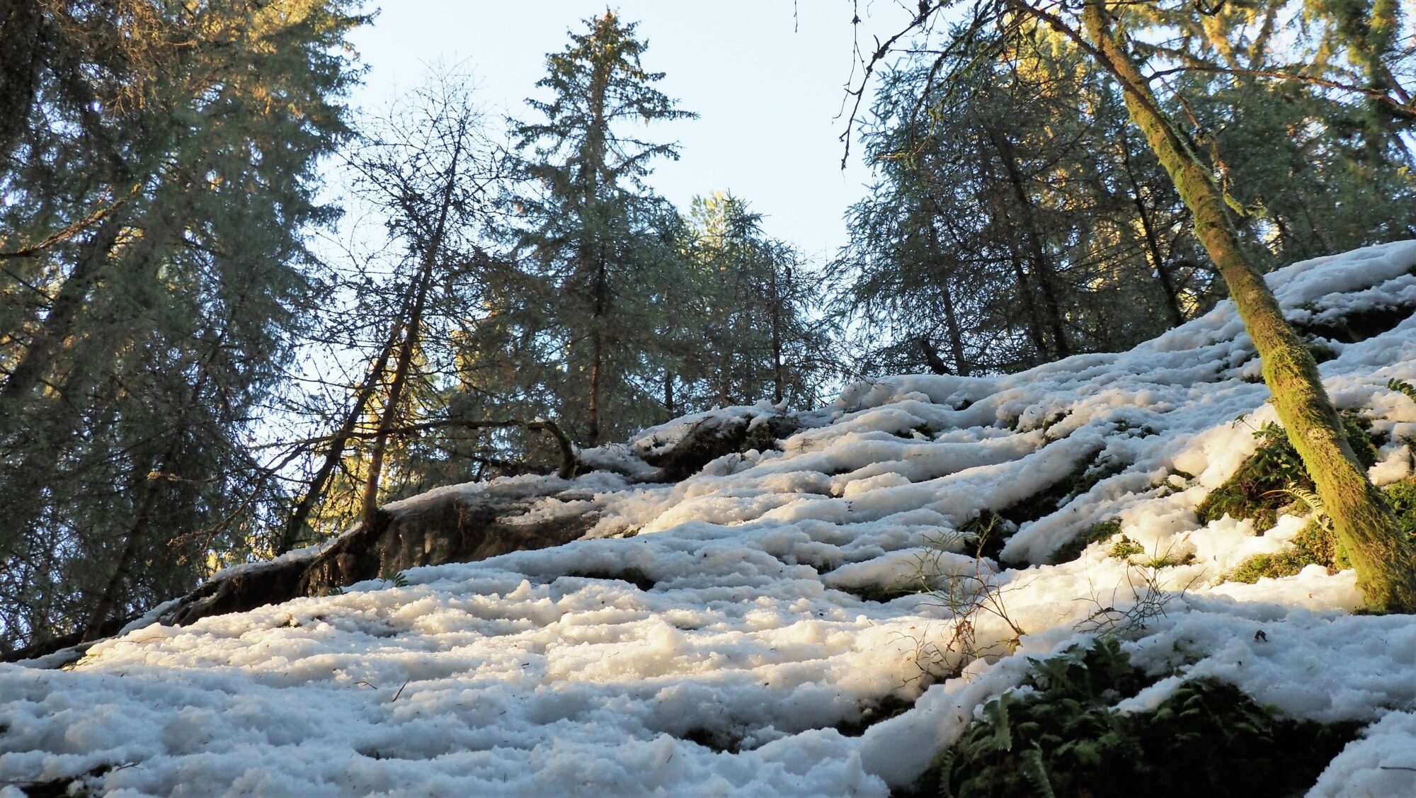 Valokuvaaja: Arja Valtonen
