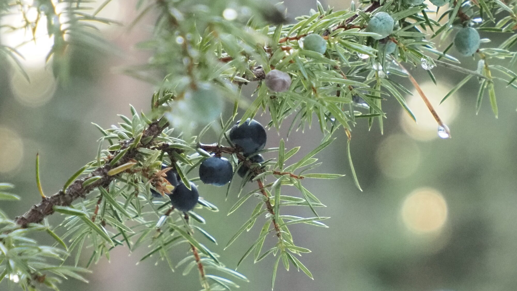 Valokuvaaja: Arja Valtonen