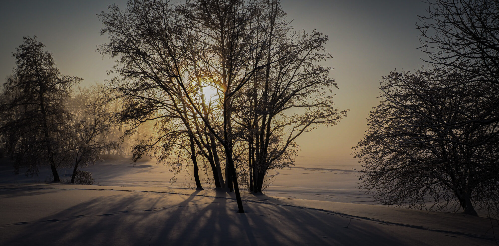 Valokuvaaja: Sakari Partio