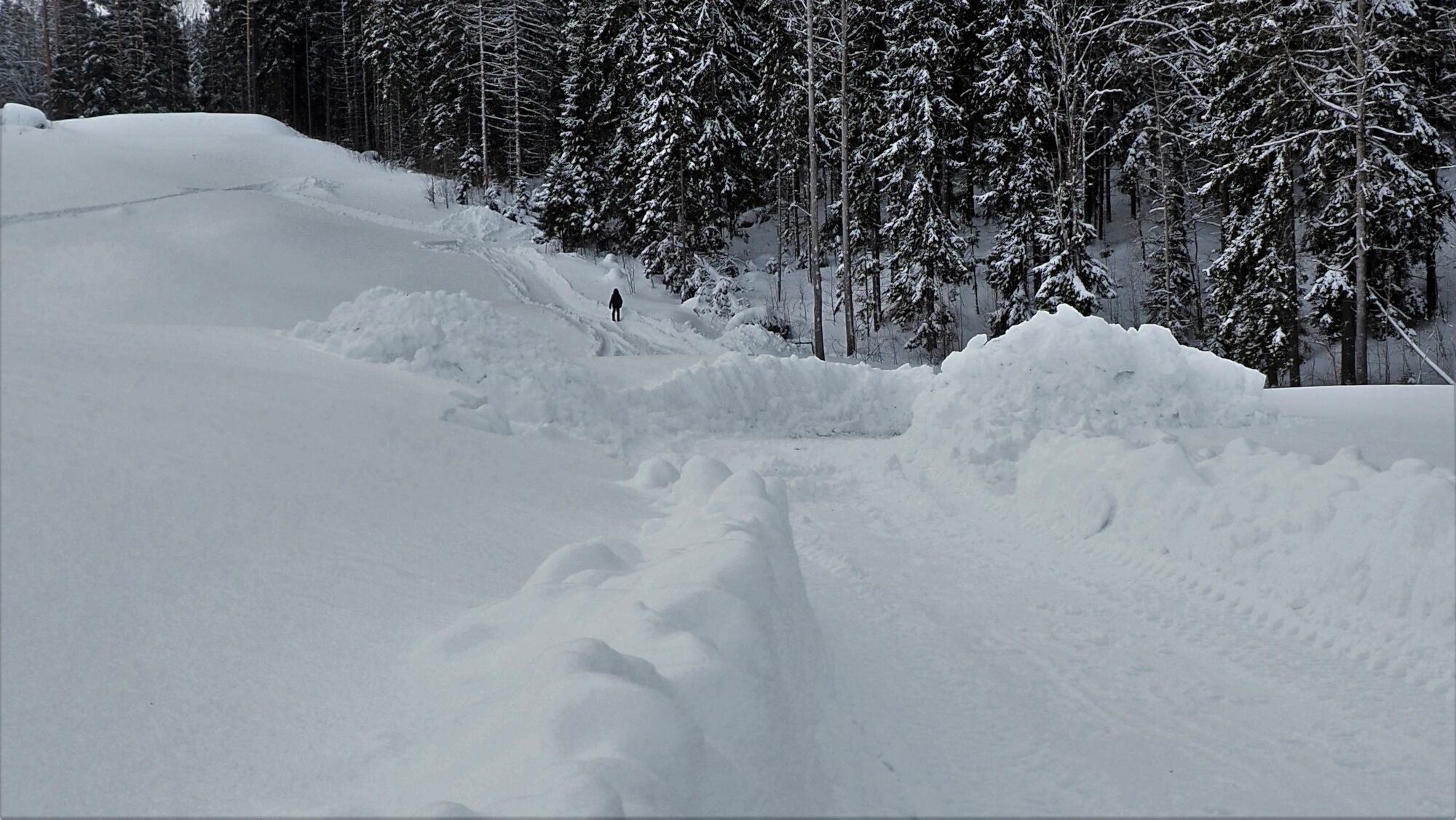 Valokuvaaja: Arja Valtonen