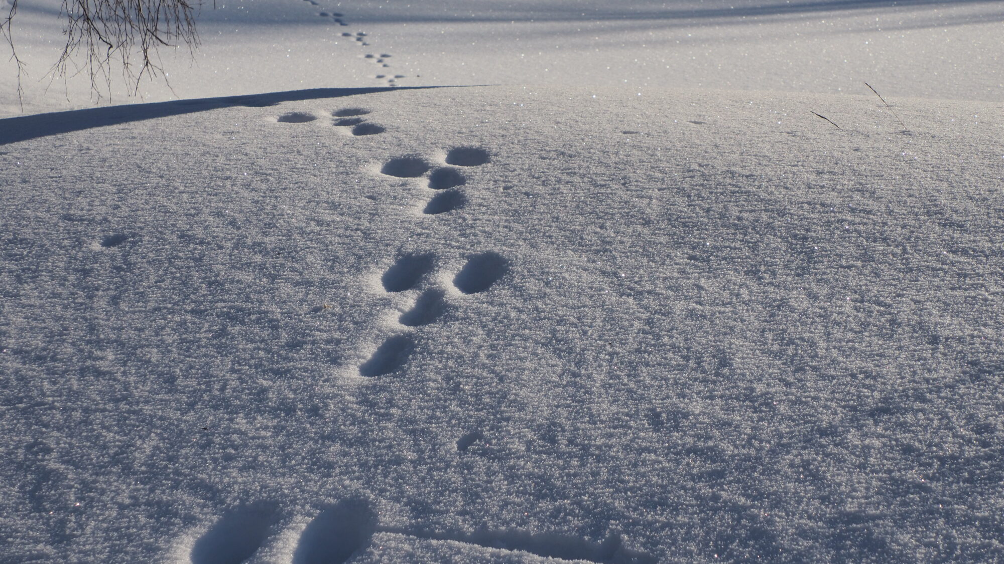 Valokuvaaja: Martti Valtonen