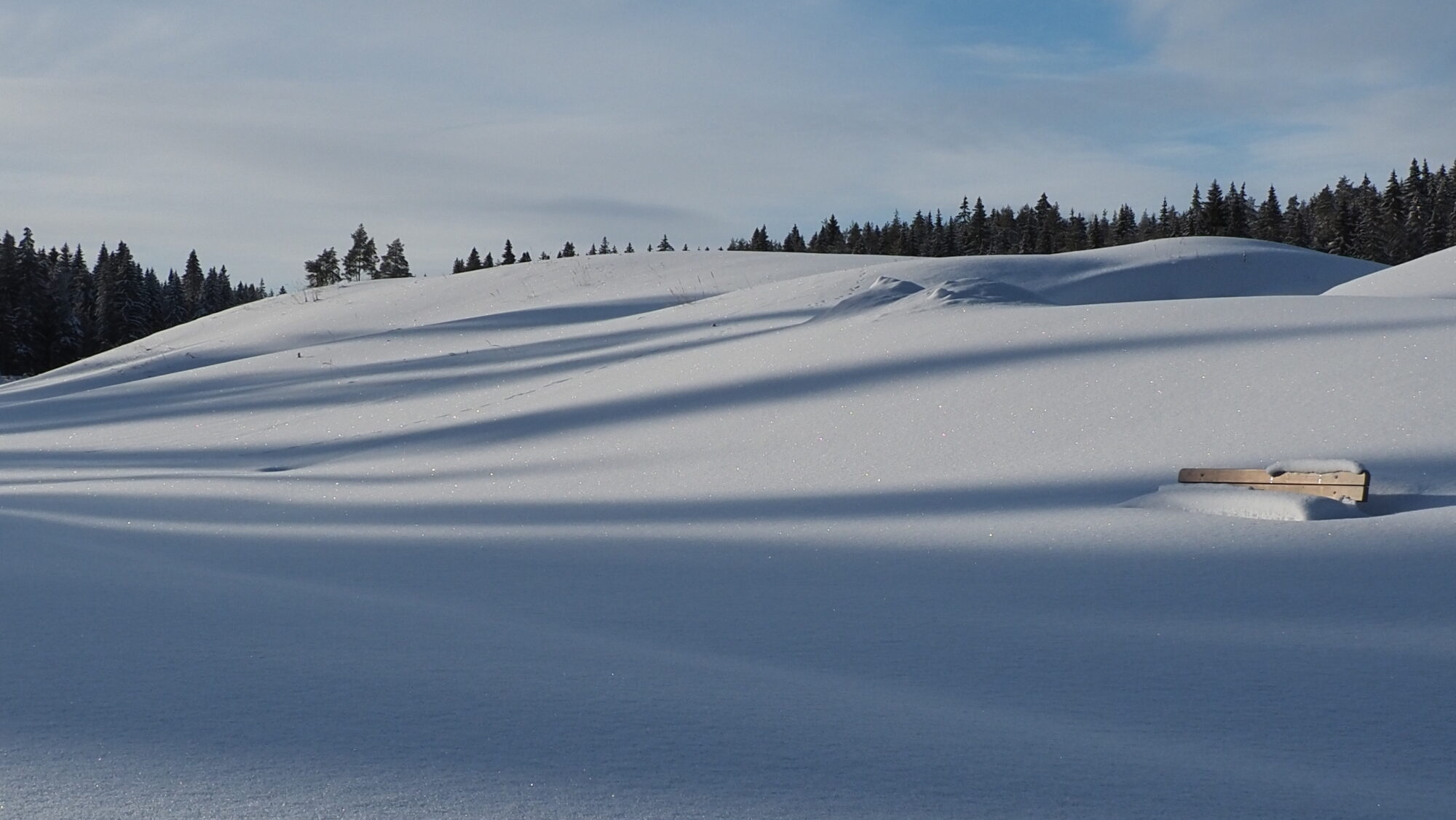 Valokuvaaja: Arja Valtonen