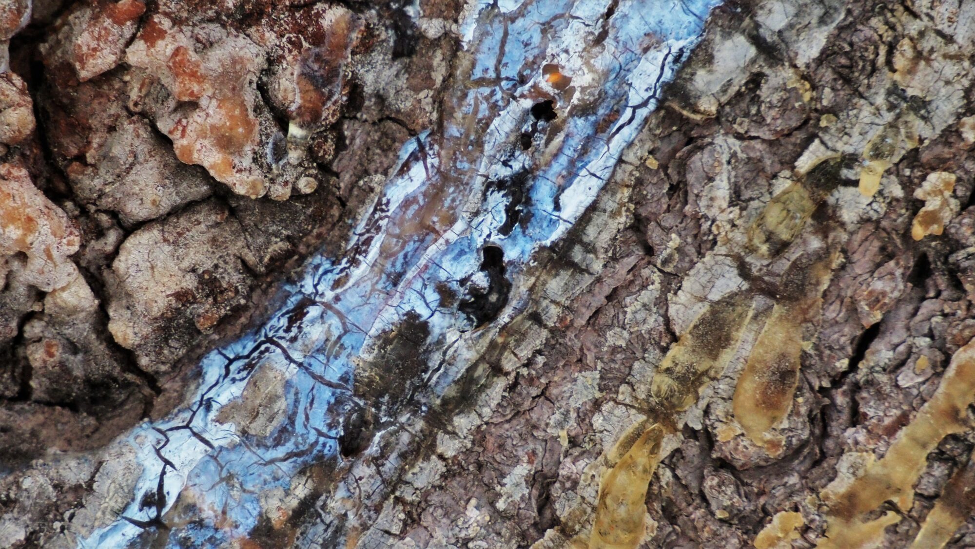 Valokuvaaja: Arja Valtonen