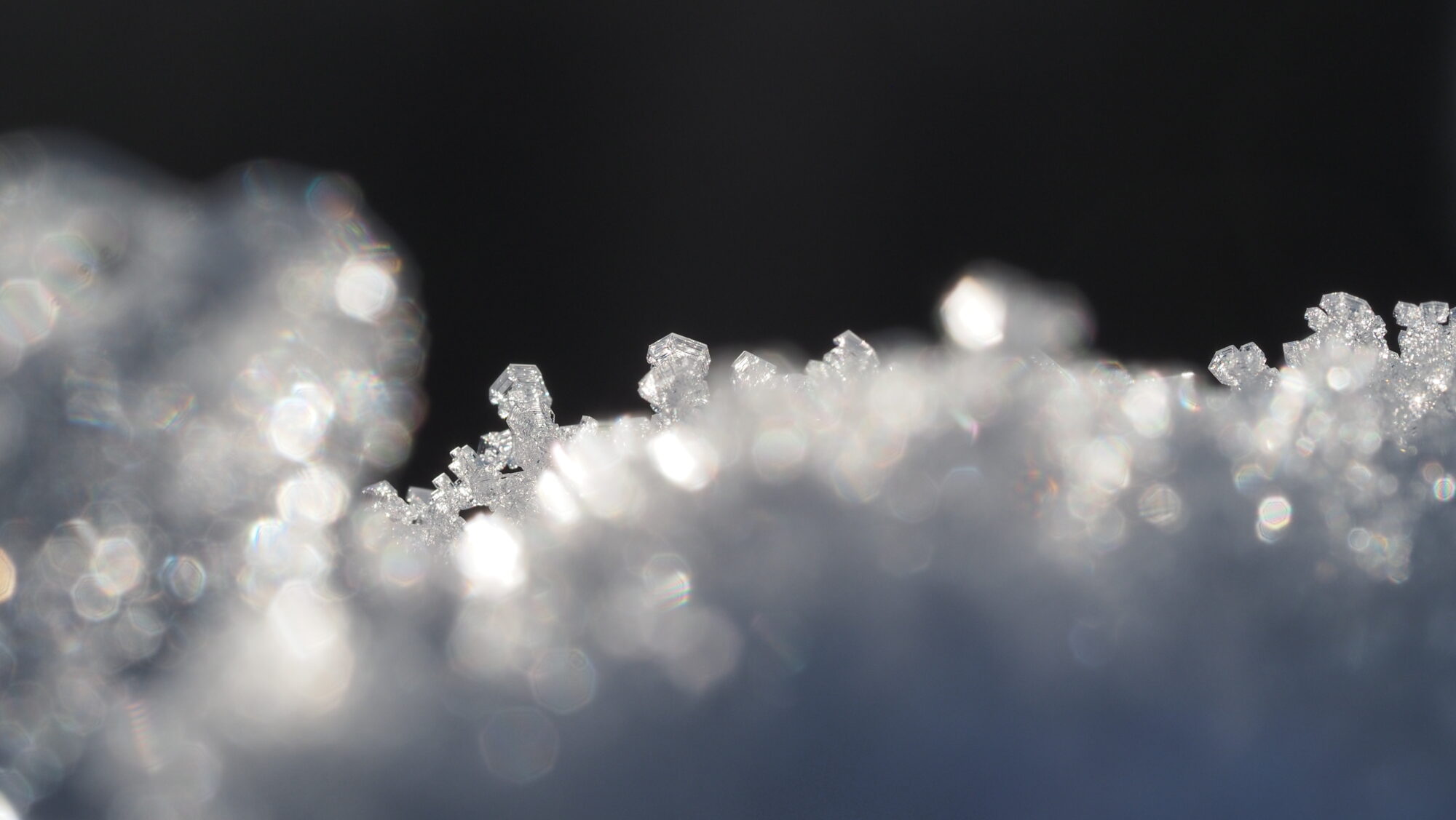 Valokuvaaja: Arja Valtonen