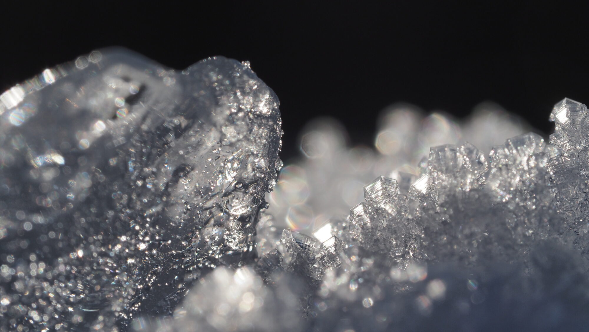 Valokuvaaja: Arja Valtonen