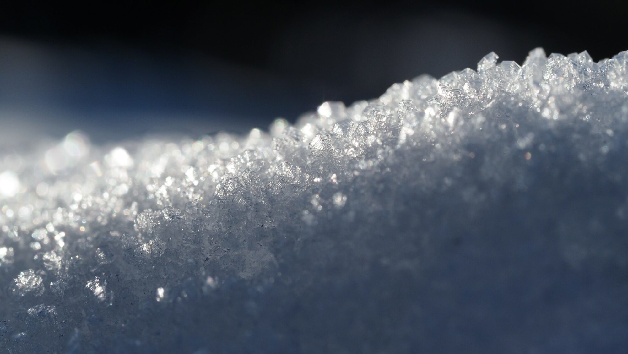 Valokuvaaja: Arja Valtonen