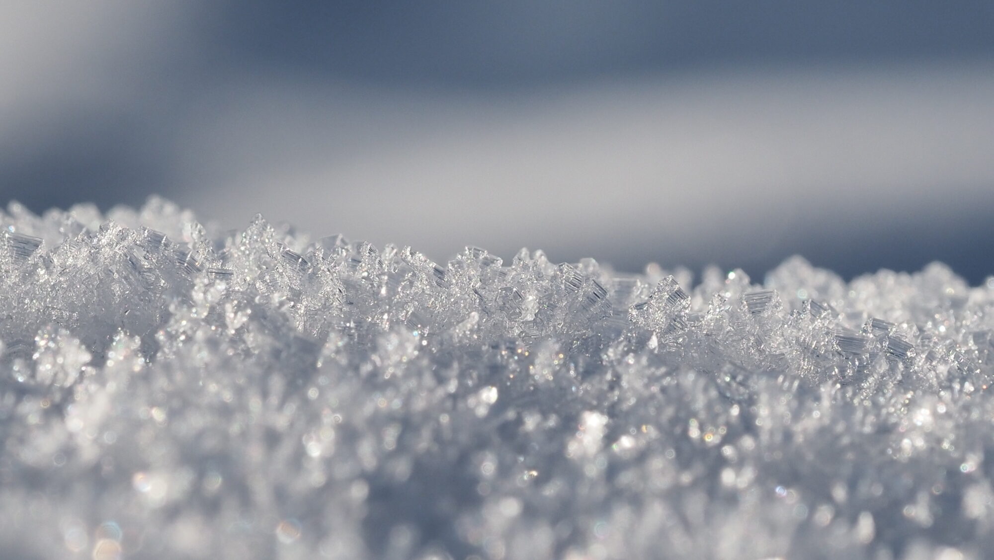 Valokuvaaja: Arja Valtonen