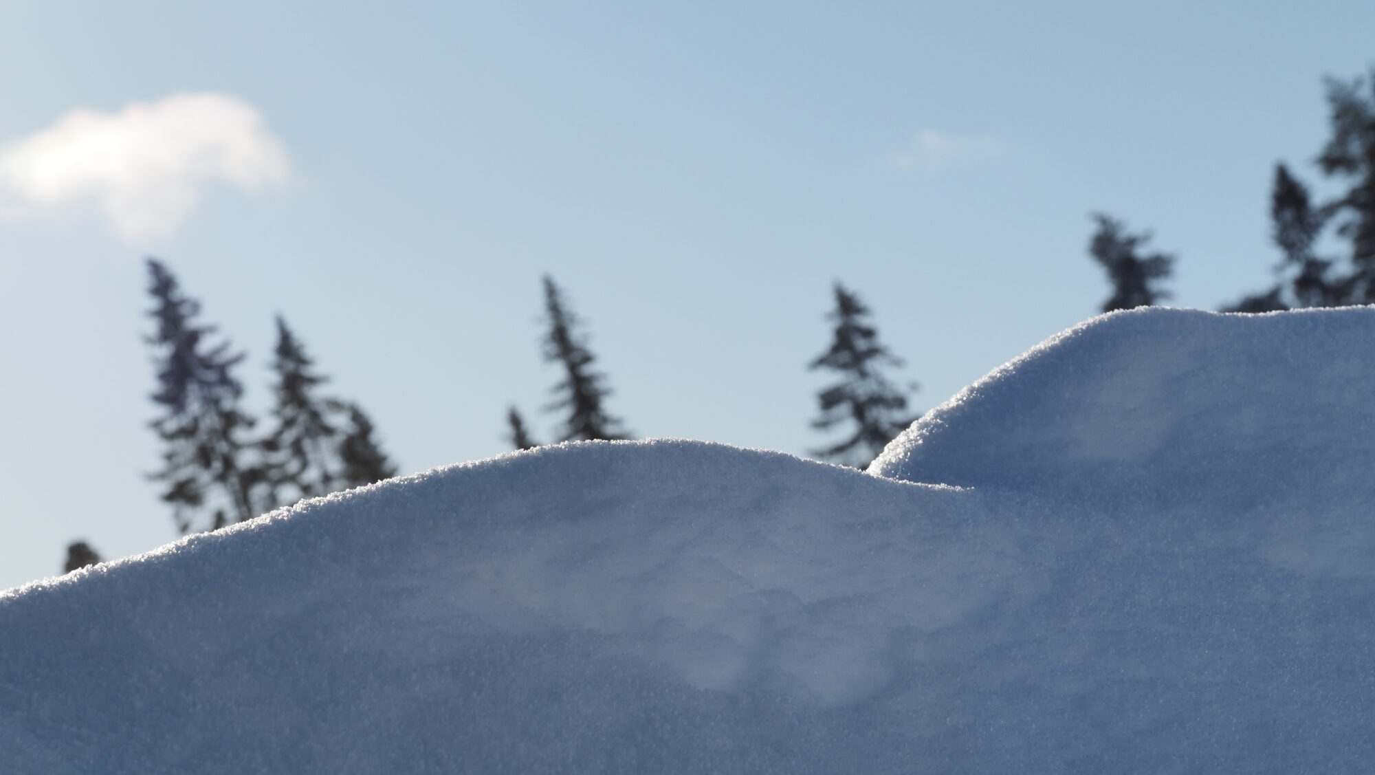 Valokuvaaja: Arja Valtonen