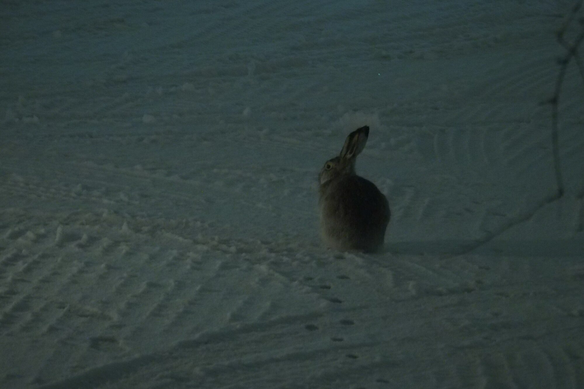 Valokuvaaja: Martti Valtonen