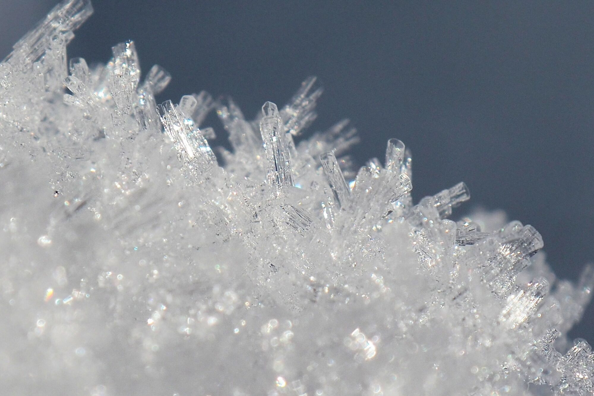 Valokuvaaja: Martti Valtonen